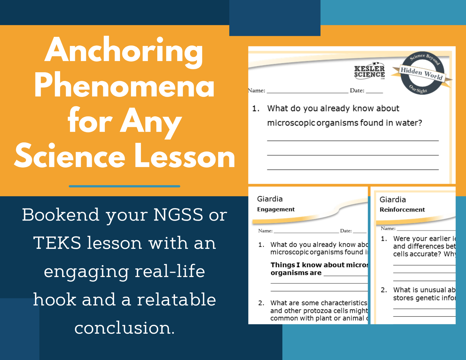 Amazing Anchors Cell Parts & Functions (Giardia Single-Celled Organisms) - NGSS MS LS1-2