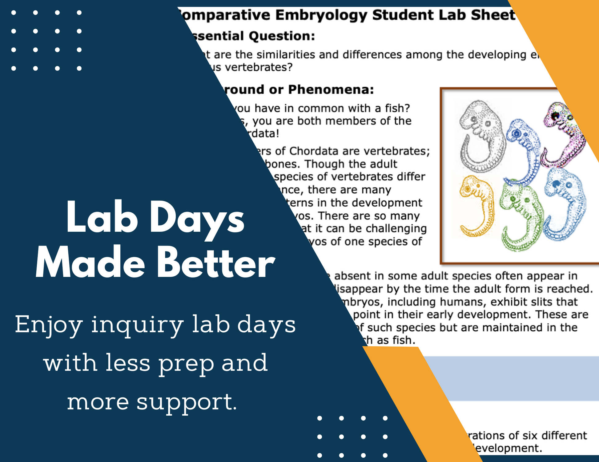 Comparative Embryology Inquiry Lab - NGSS MS LS4-3