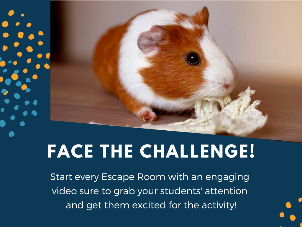 Food Webs and Energy in an Ecosystem Escape Room - 6th 7th 8th Grade Science Review Activity