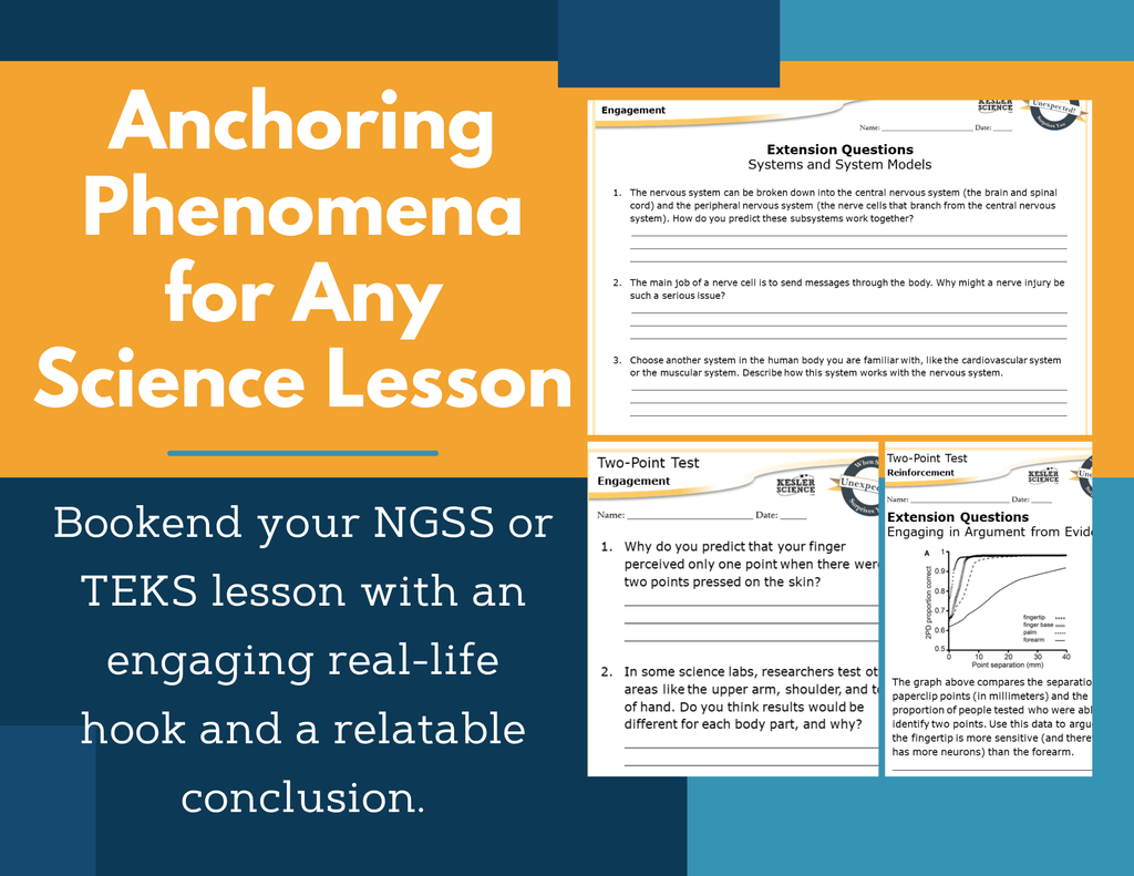 Amazing Anchors Interacting Body Systems (Two-Point Test) - NGSS MS LS1-3