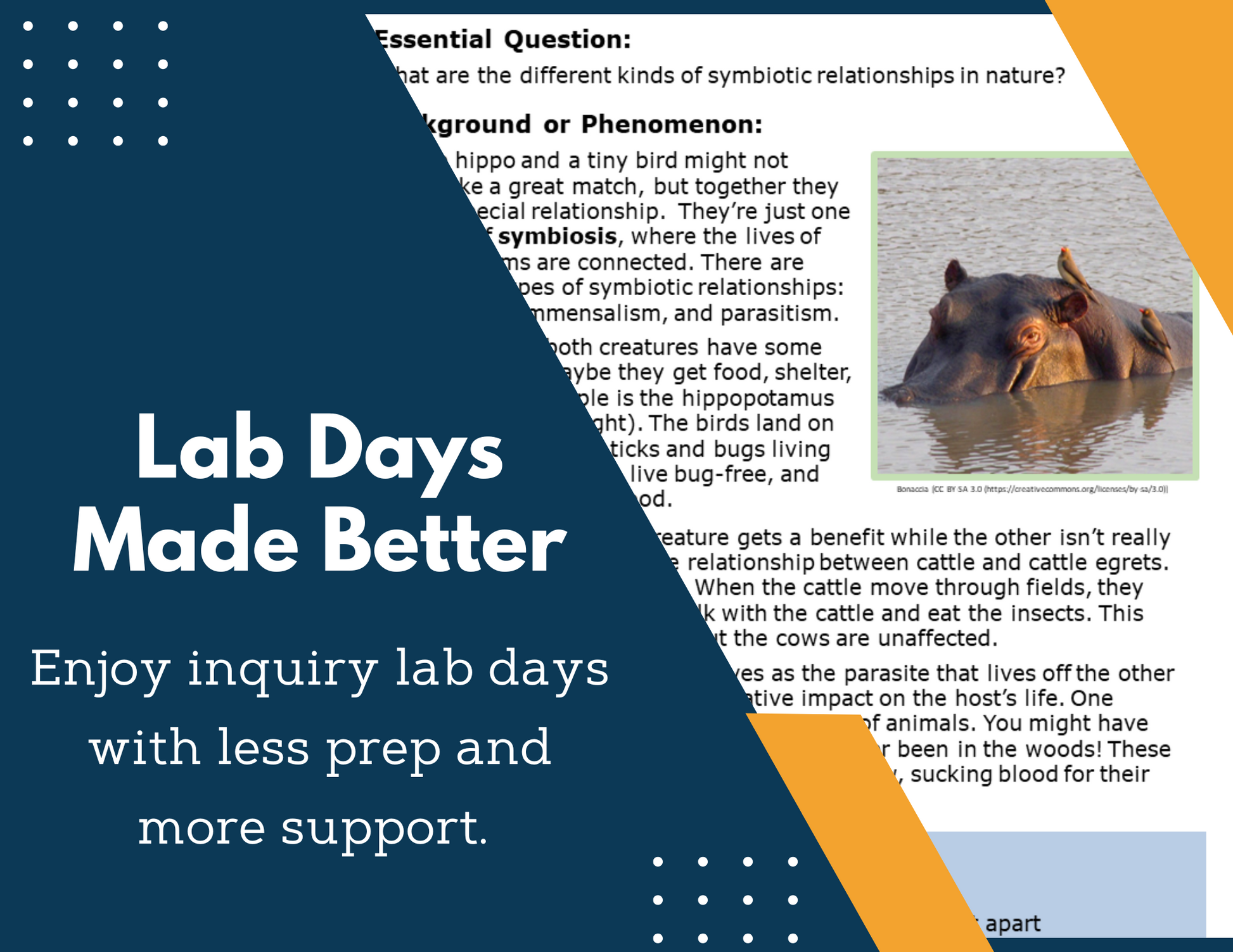 Symbiosis Inquiry Lab - MS 6-8 Science