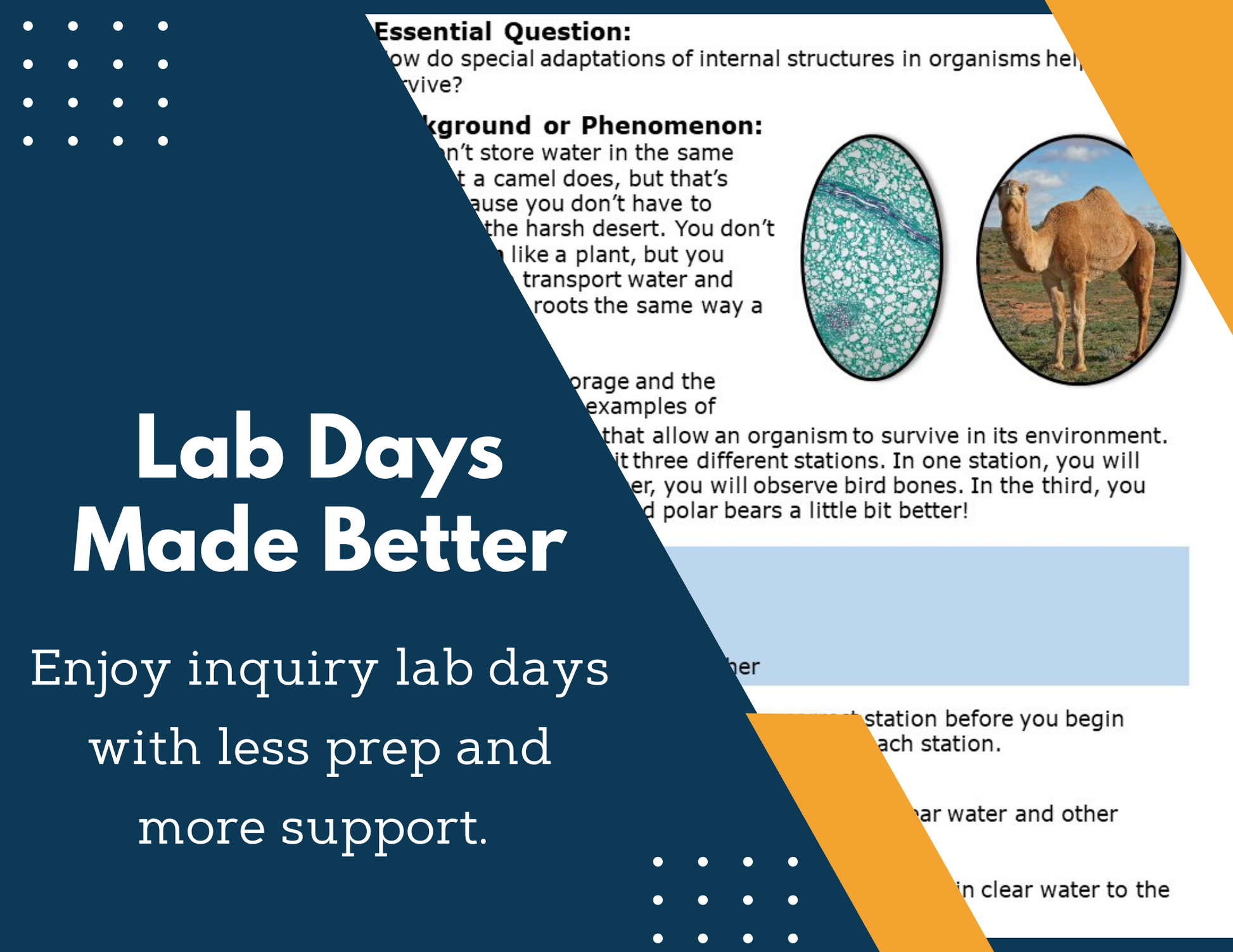 Adaptations and Internal Structures Inquiry Lab - MS 6-8 Science TEKS