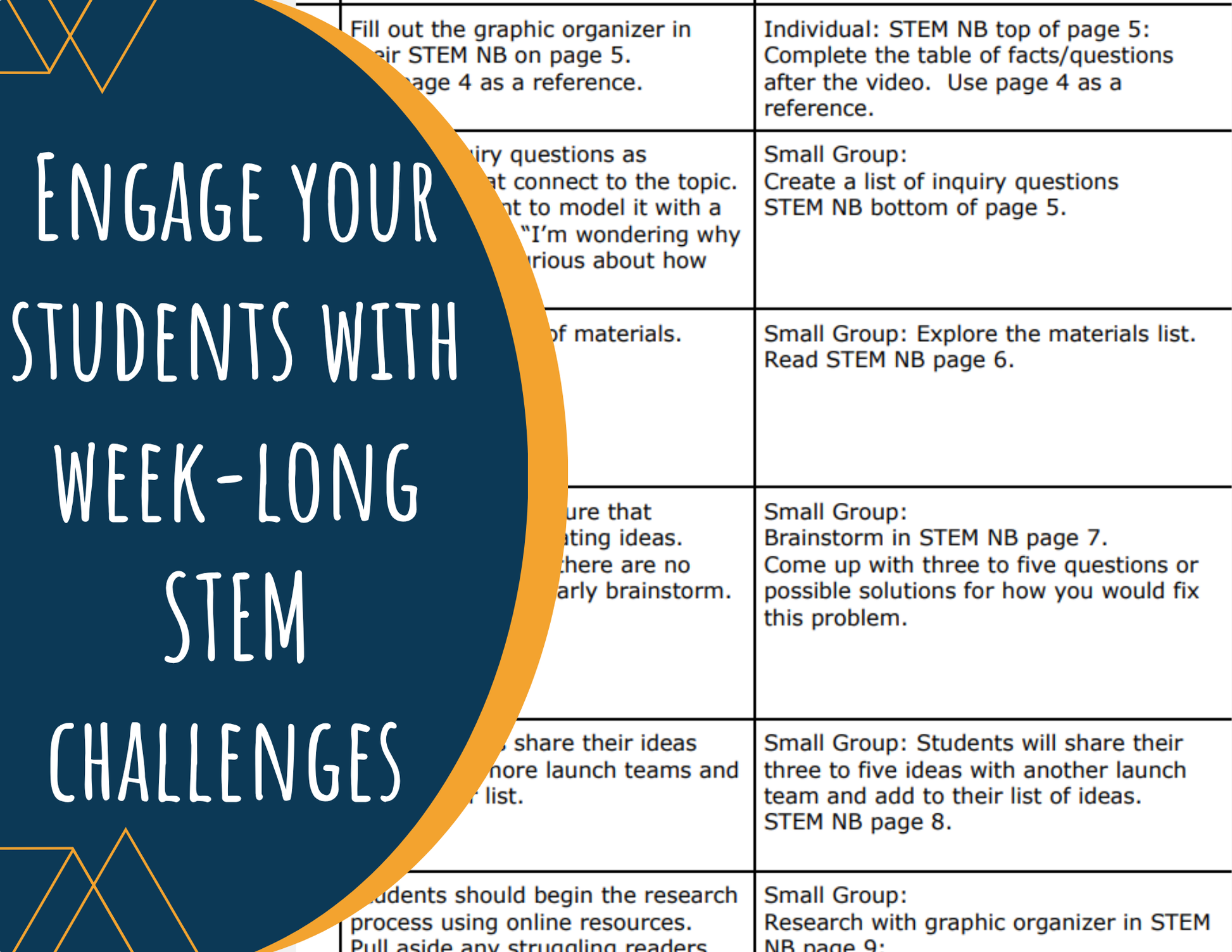 STEM Challenge - Project Dry Bones - Create a Model Skeleton