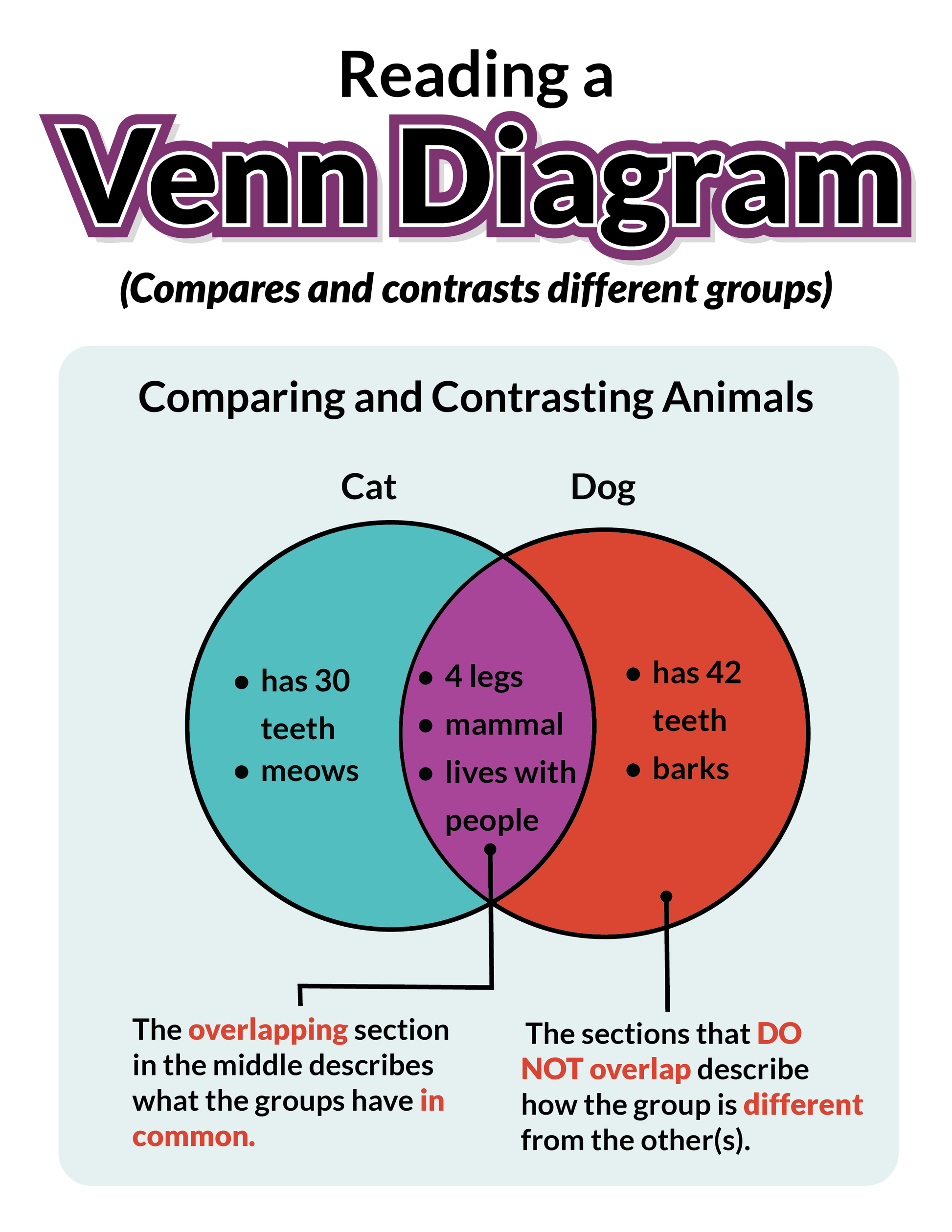 Science Graphing 3rd, 4th, 5th Grade Poster Set
