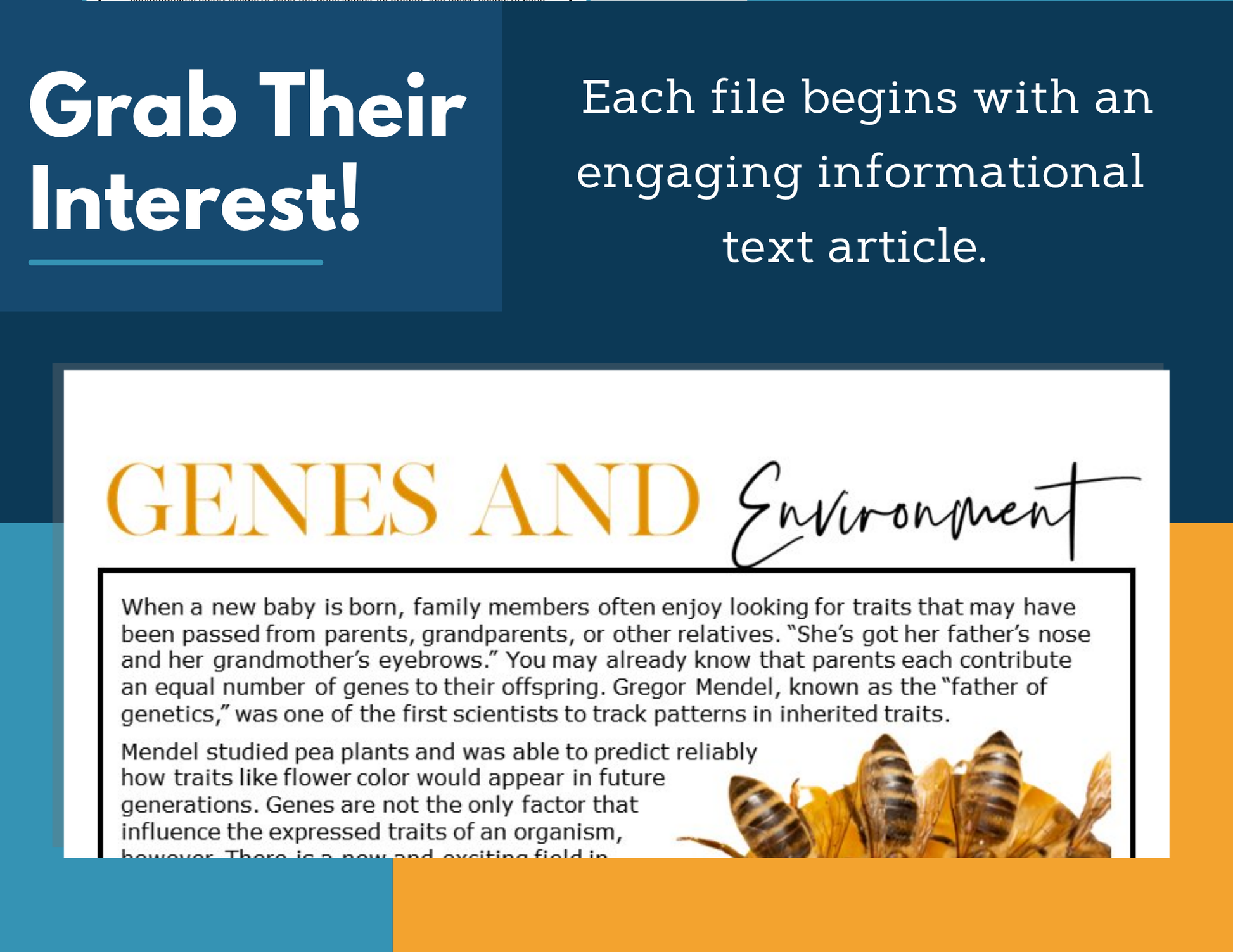 MS 6th 7th 8th Science Reading Comprehension Passages - VOL. 3 - Genes and Environment