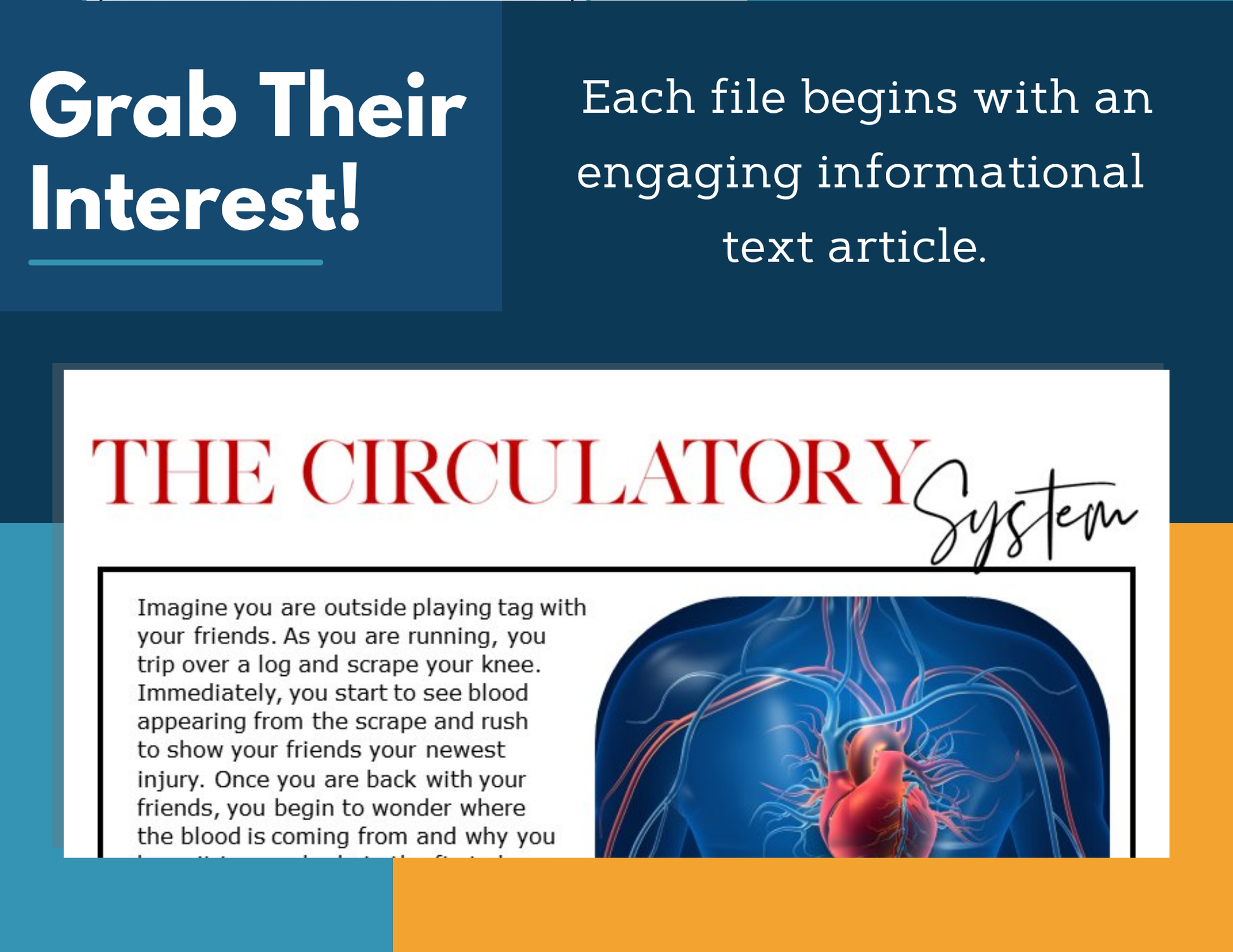 MS 6th 7th 8th Science Reading Comprehension Passages - VOL. 3 - Circulatory System