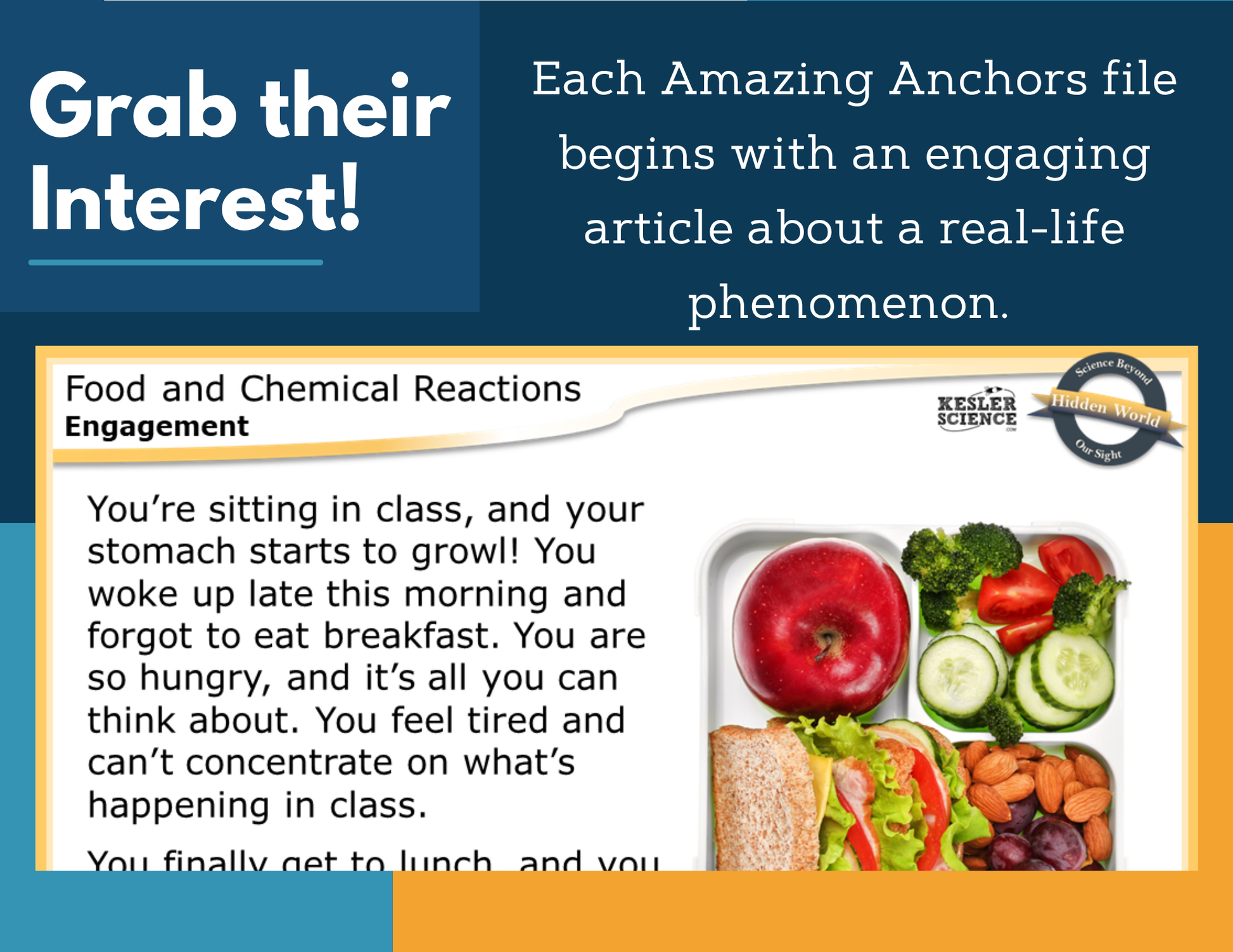 Amazing Anchors Food & Chemical Reactions - NGSS MS LS1-7