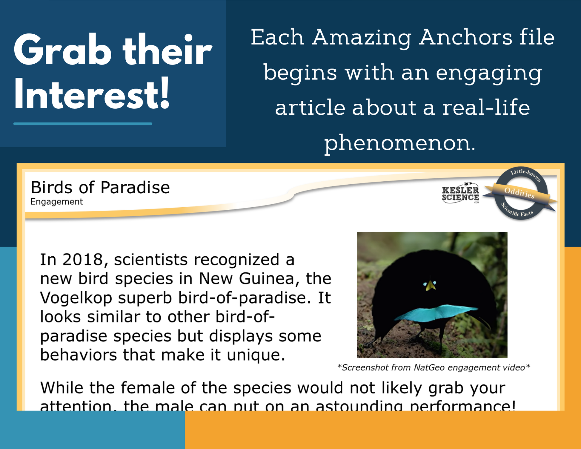 Amazing Anchors Plant & Animal Reproduction (Birds of Paradise) - NGSS MS LS1-4