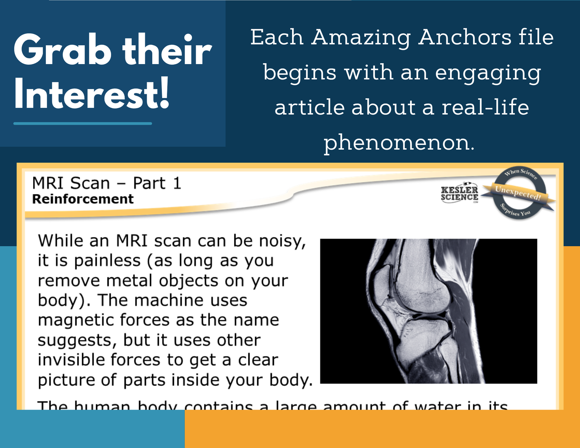 Amazing Anchors Distance & Potential Energy (MRI Scan) - NGSS MS PS3-2