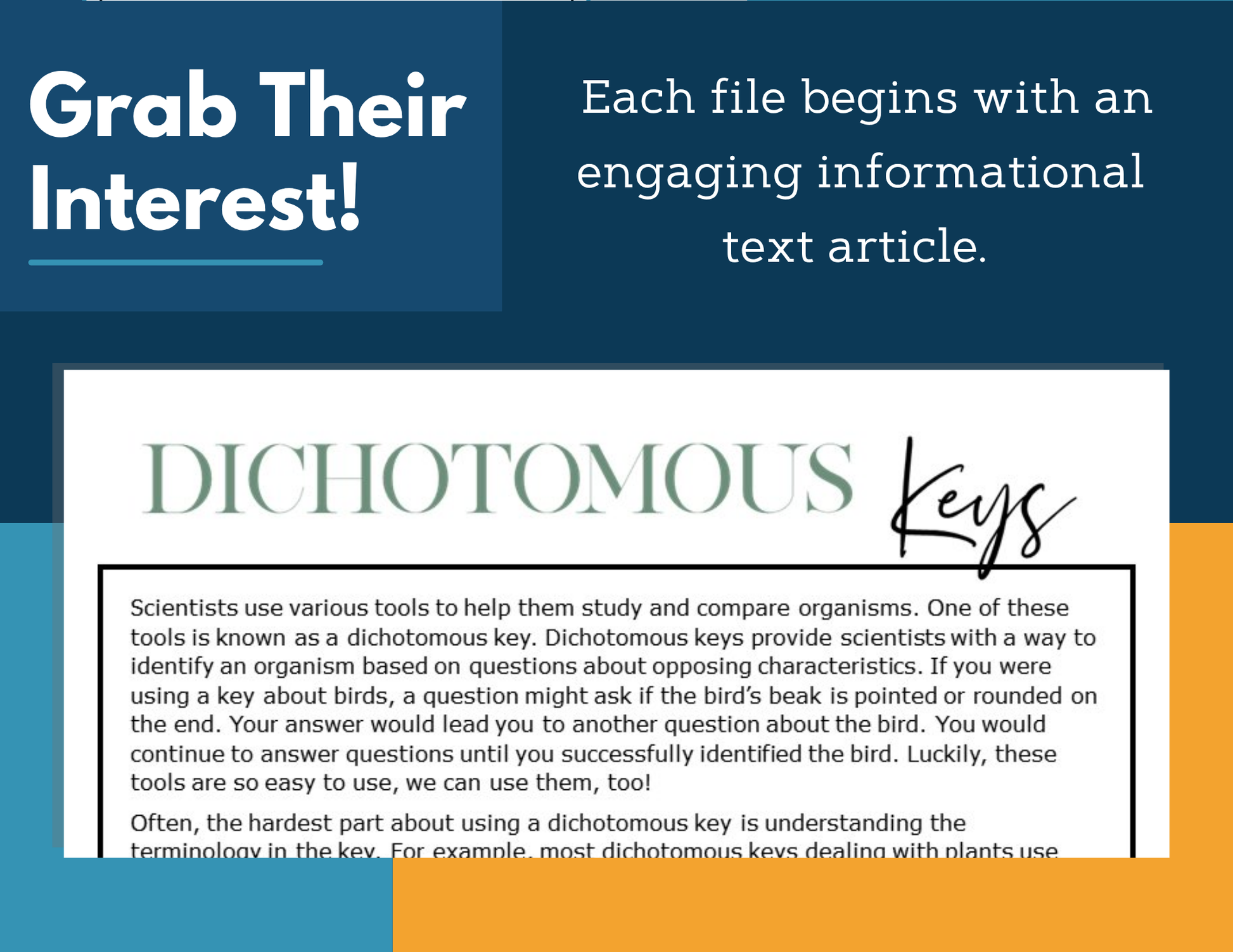 MS 6th 7th 8th Science Reading Comprehension Passages - VOL. 3 - Dichotomous Keys