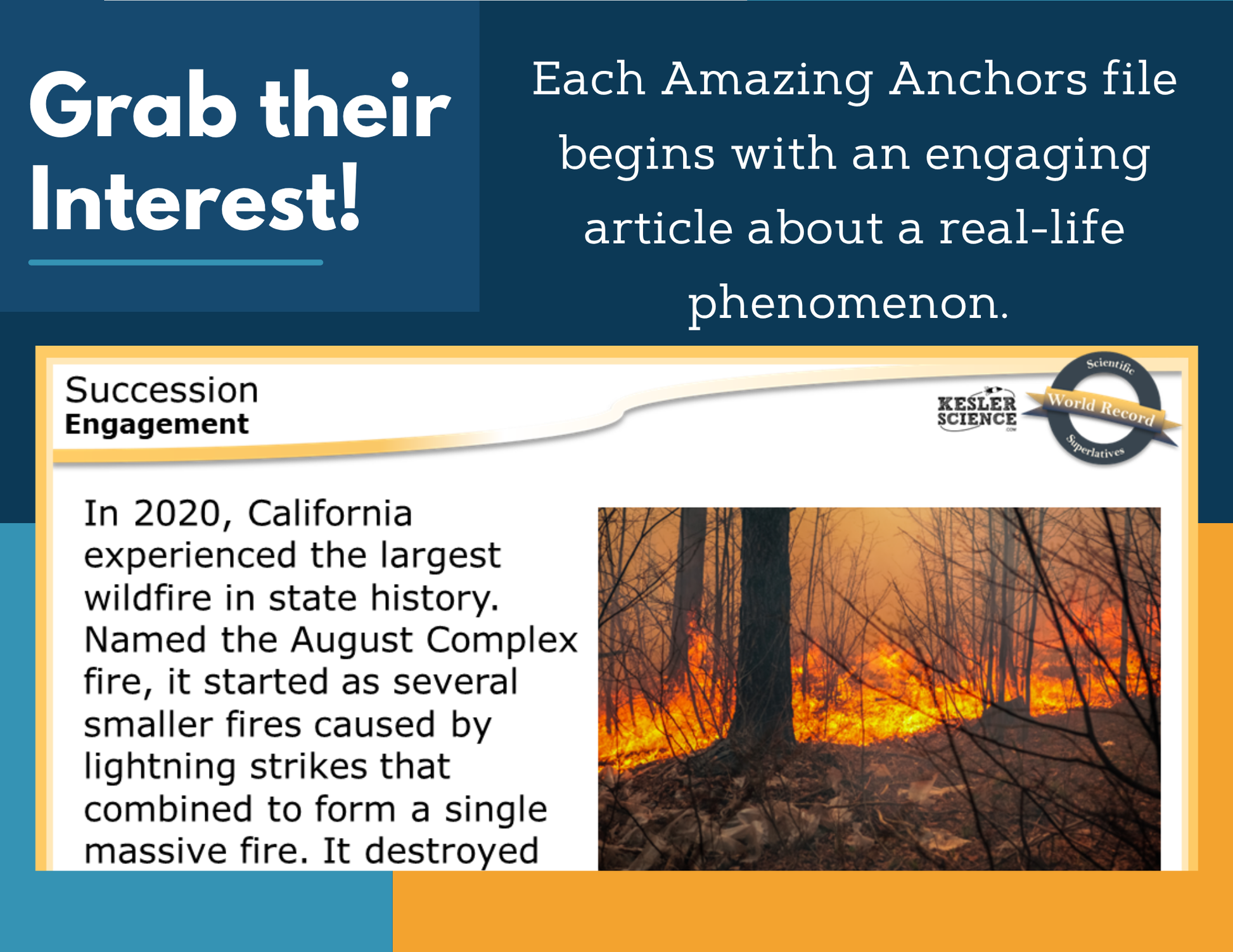 Amazing Anchors Ecological Succession - MS 6-8