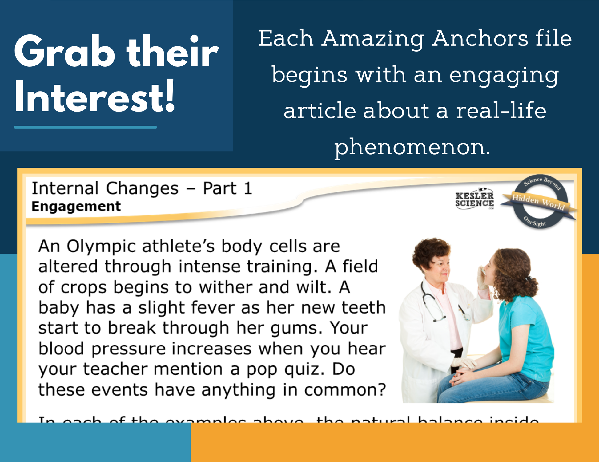 Amazing Anchors Responding to Internal Stimuli (Internal Changes) - MS 6-8