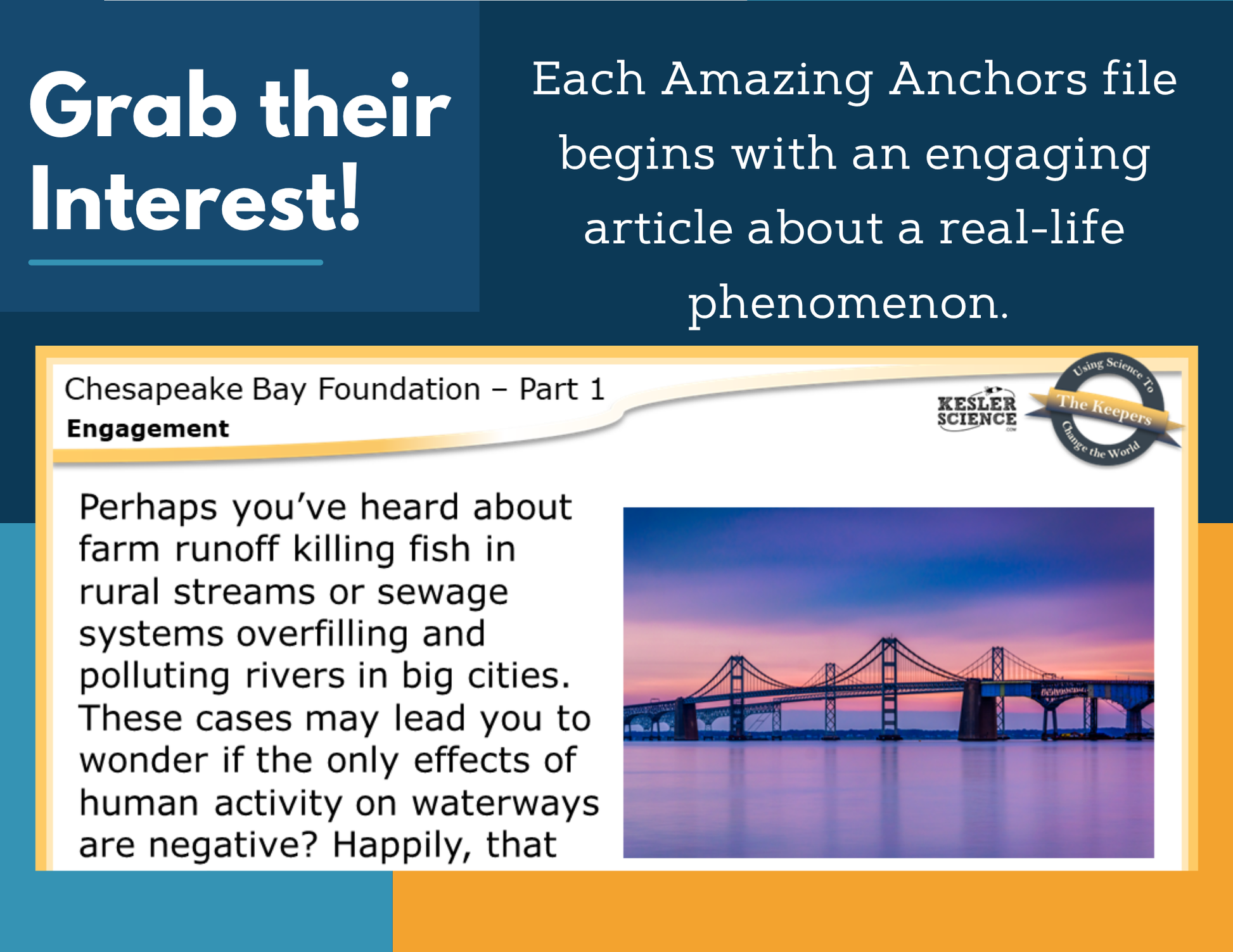 Amazing Anchors Watersheds (Chesapeake Bay Foundation) - NGSS MS LS2-2, MS 6-8