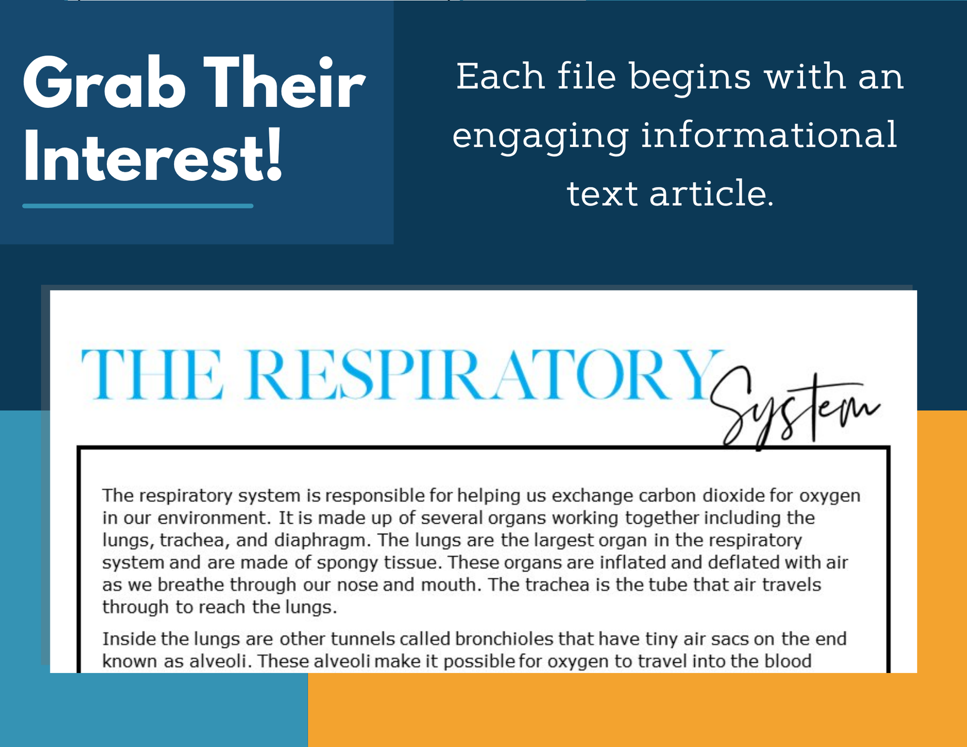 MS 6th 7th 8th Science Reading Comprehension Passages - VOL. 3 - Respiratory System