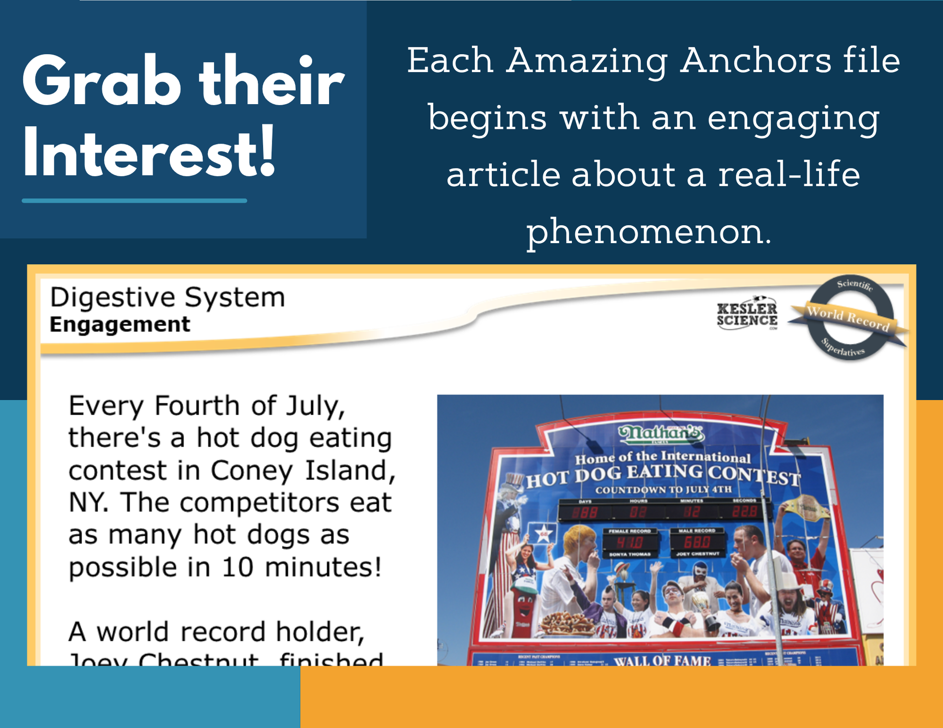 Amazing Anchors - Digestive System - MS 6-8
