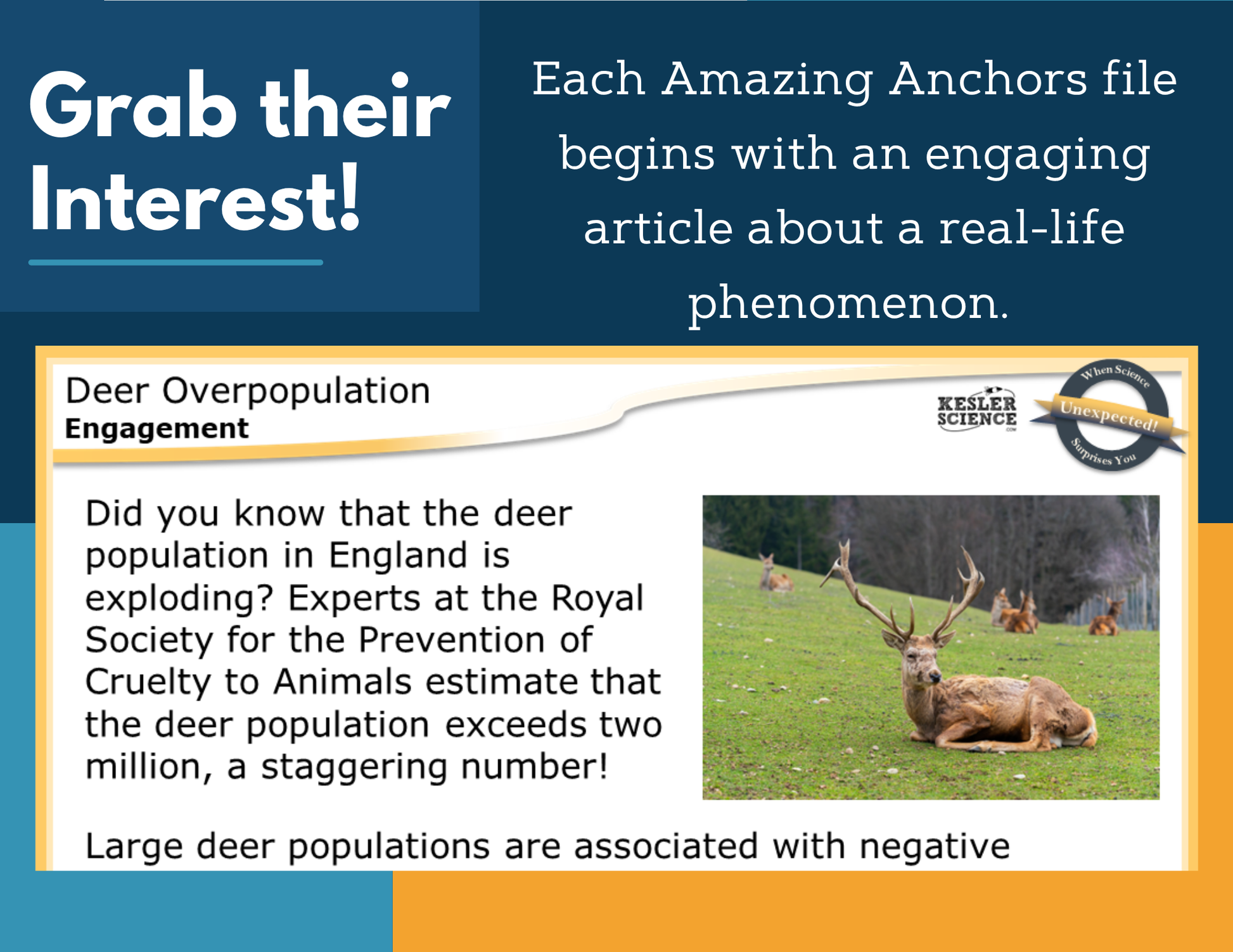 Amazing Anchors Competition for Resources (Deer Overpopulation) - MS 6-8