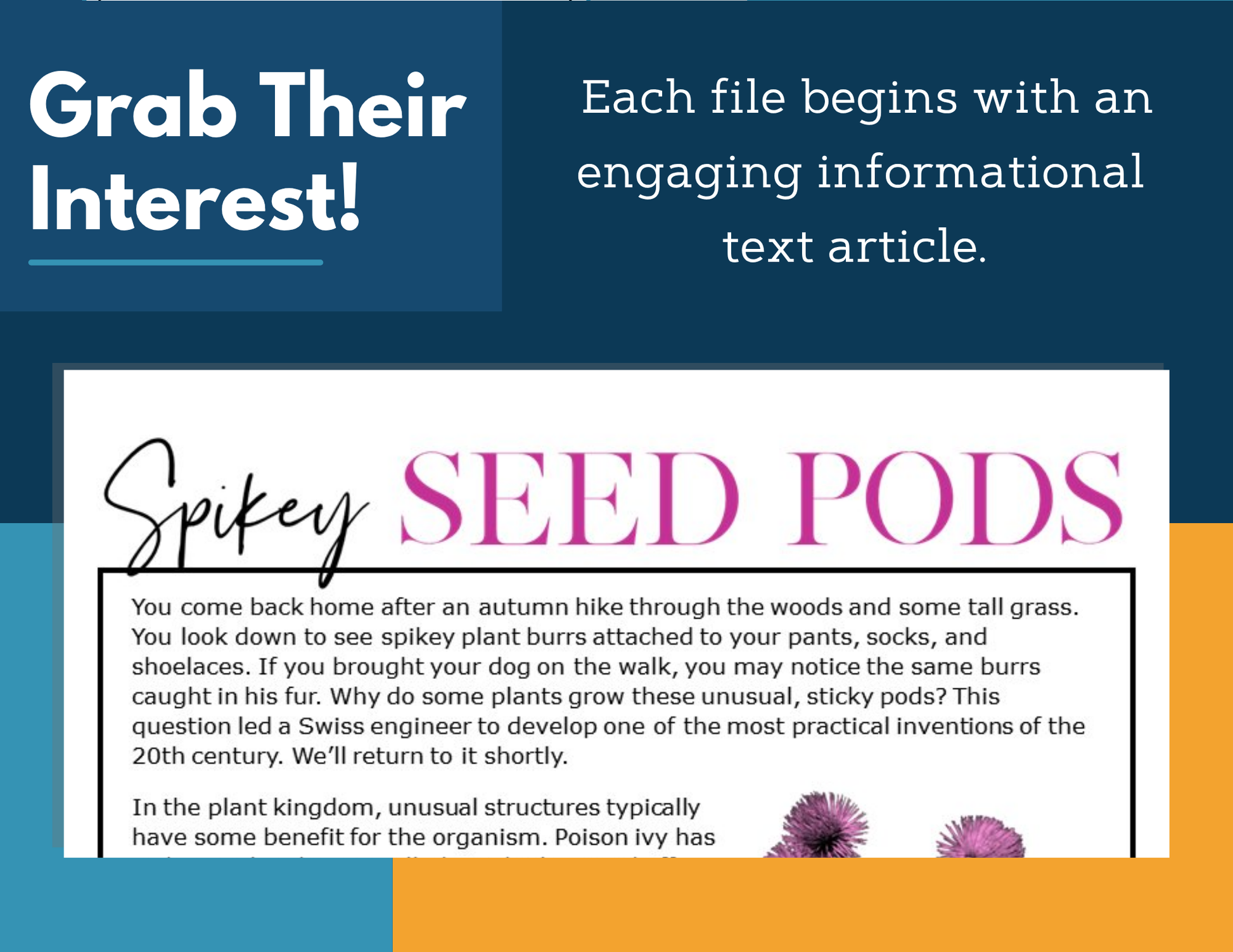 MS 6th 7th 8th Science Reading Comprehension Passages - VOL. 3 - Spikey Seed Pods