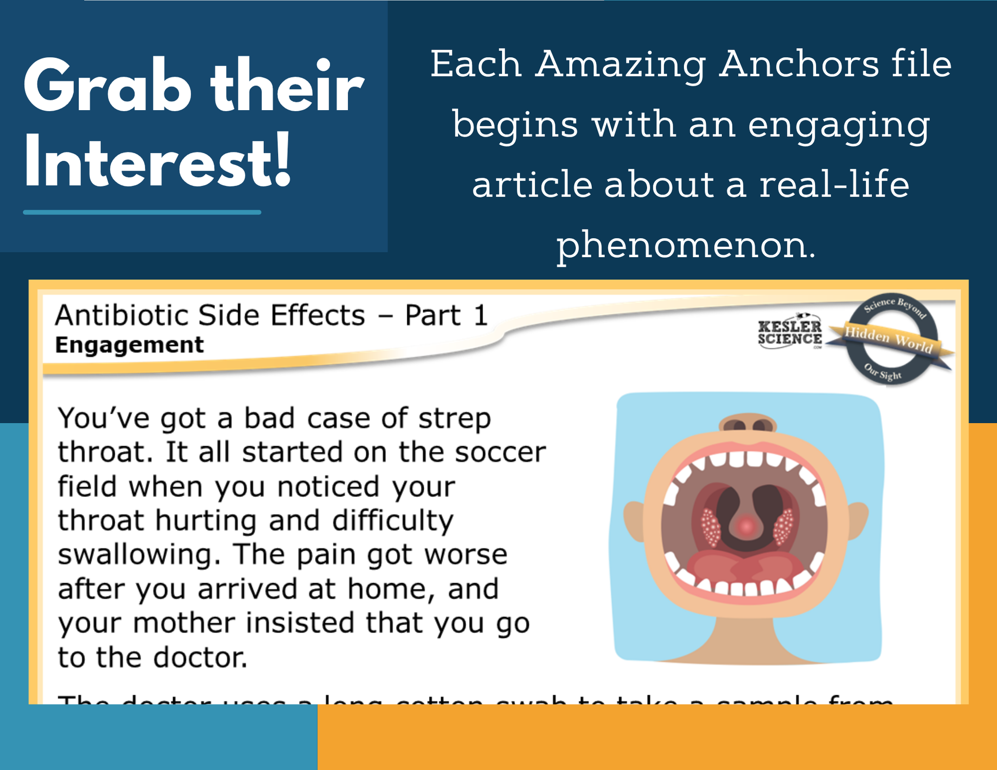Amazing Anchors Organism Relationships (Antibiotic Side Effects) - NGSS MS LS2-2