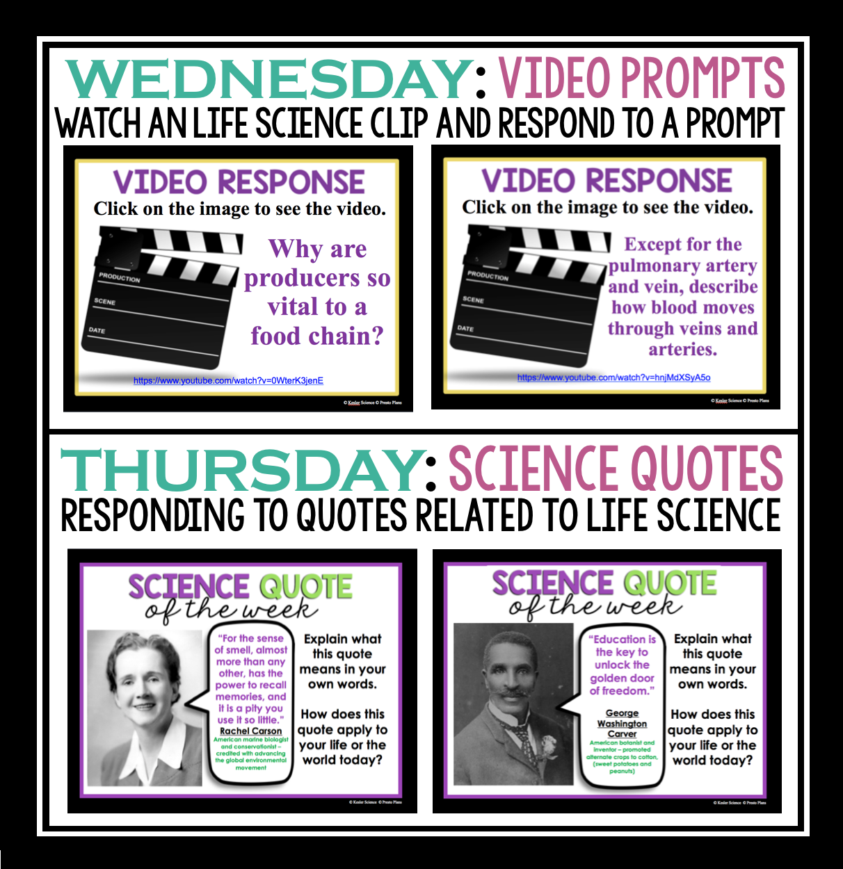 MS 6th 7th 8th Bellringers and Warm-Ups - Life Science