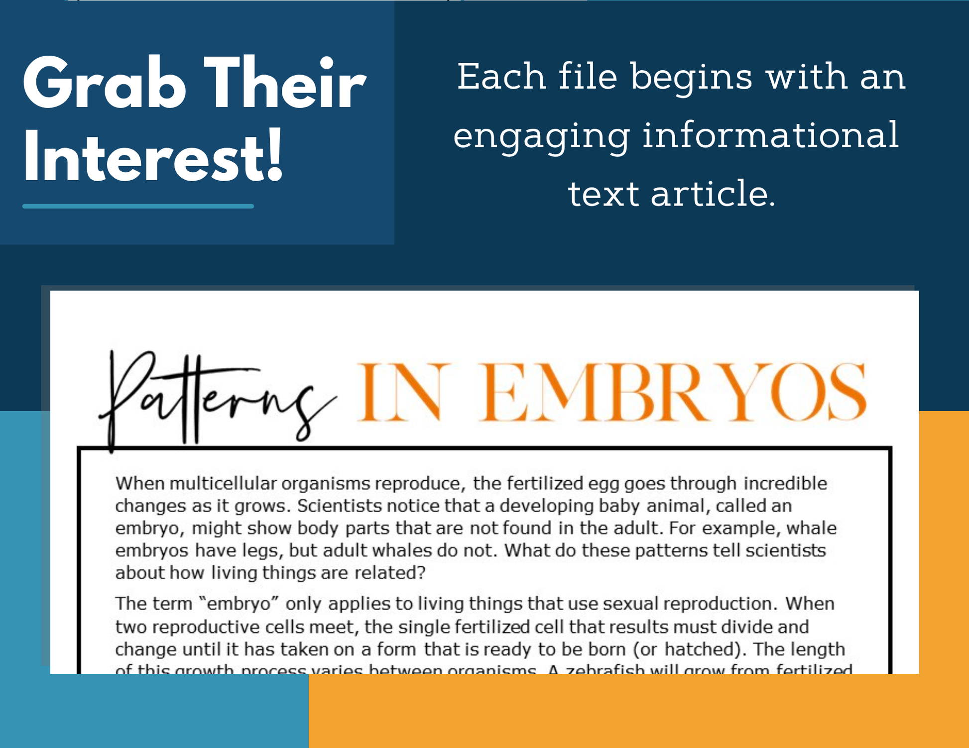 MS 6th 7th 8th Science Reading Comprehension Passages - VOL. 3 - Patterns in Embryos