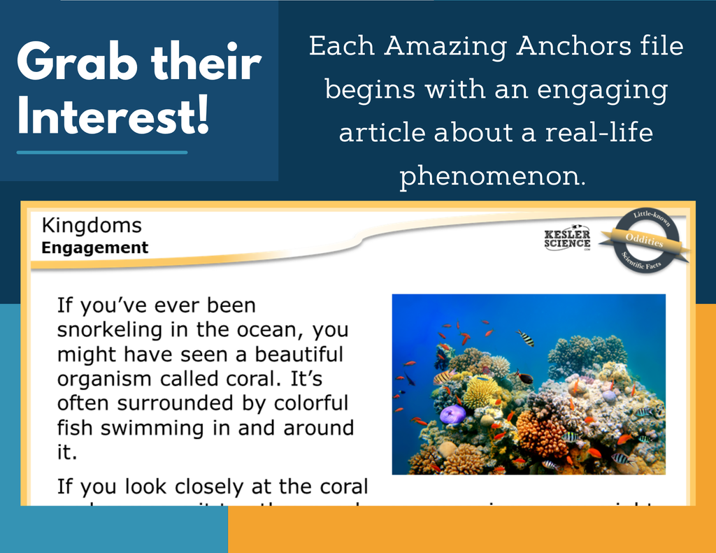 Amazing Anchors Characteristics of Organisms (Kingdoms) - MS 6-8