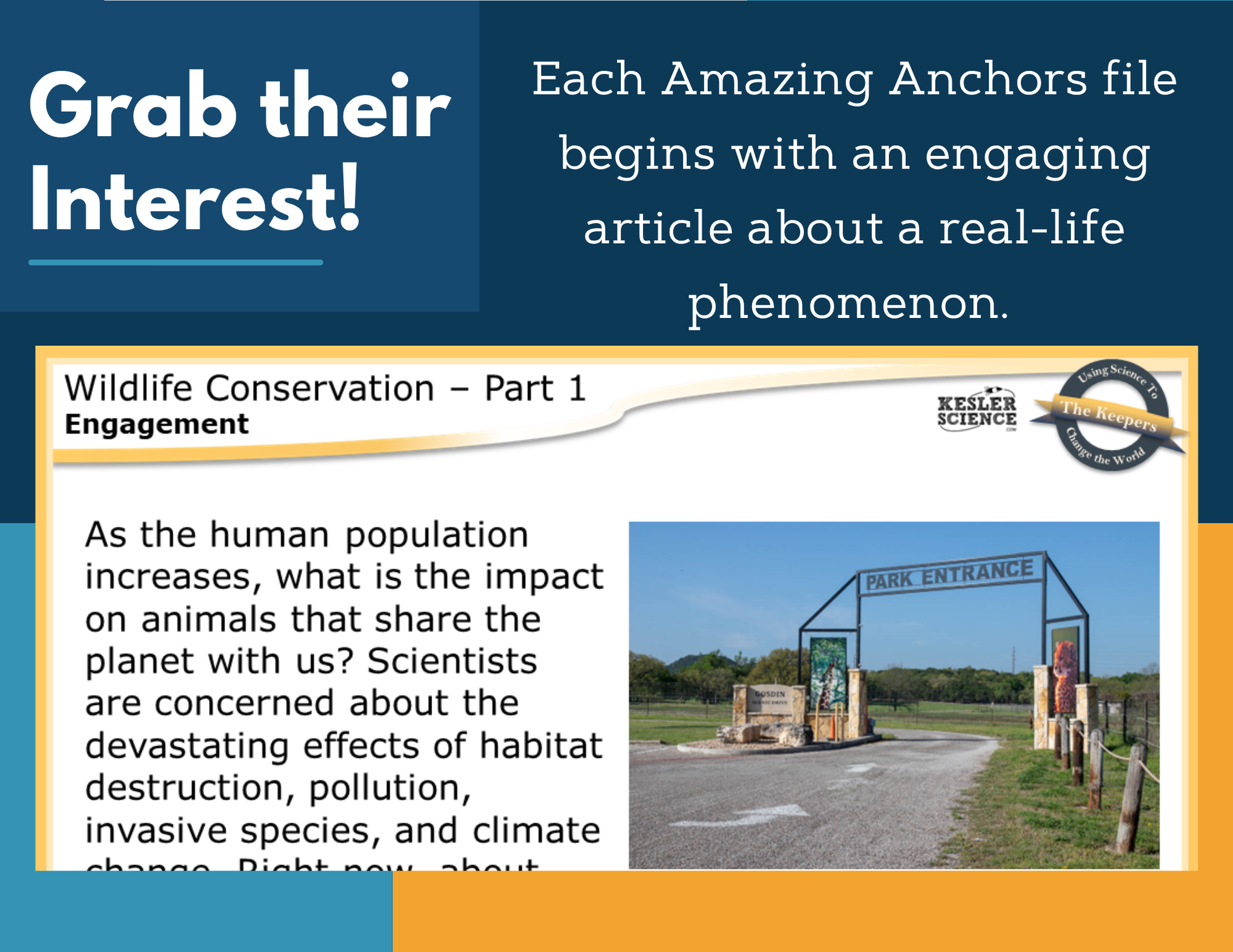 Amazing Anchors Minimizing Human Impact (Wildlife Conservation) - NGSS MS ESS3-3