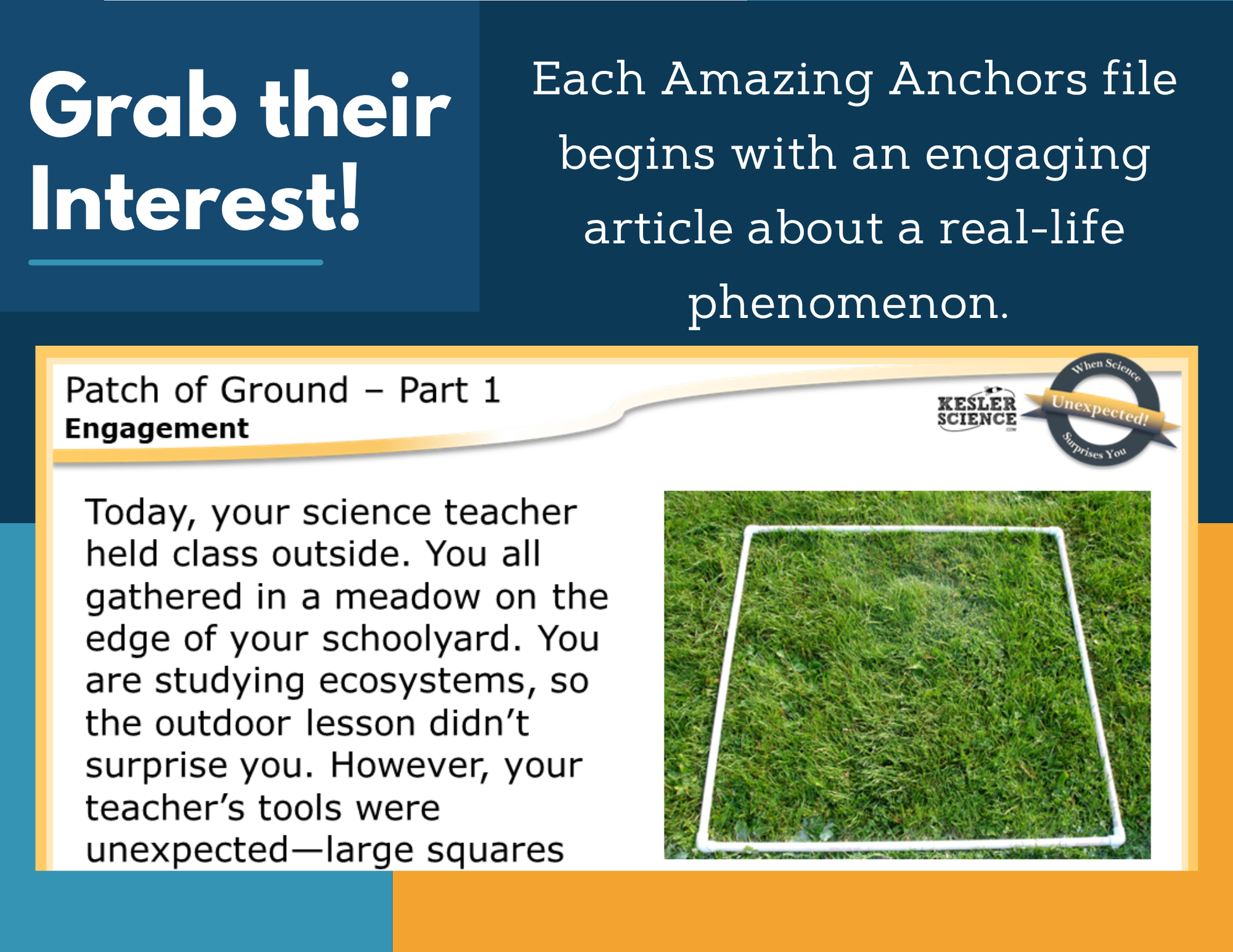 Amazing Anchors Organization of Ecosystems (Patch of Ground) - MS 6-8