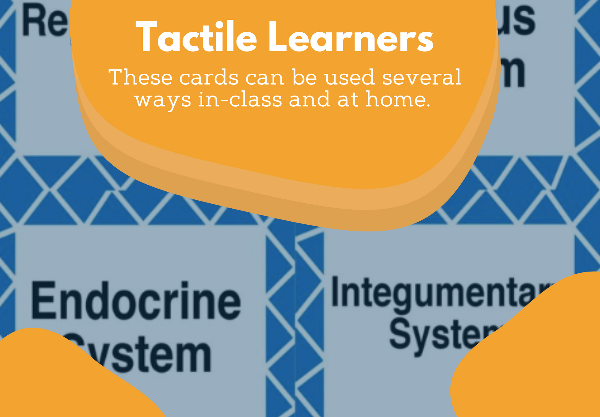 Body Systems Card Sort or Lab Station Activity