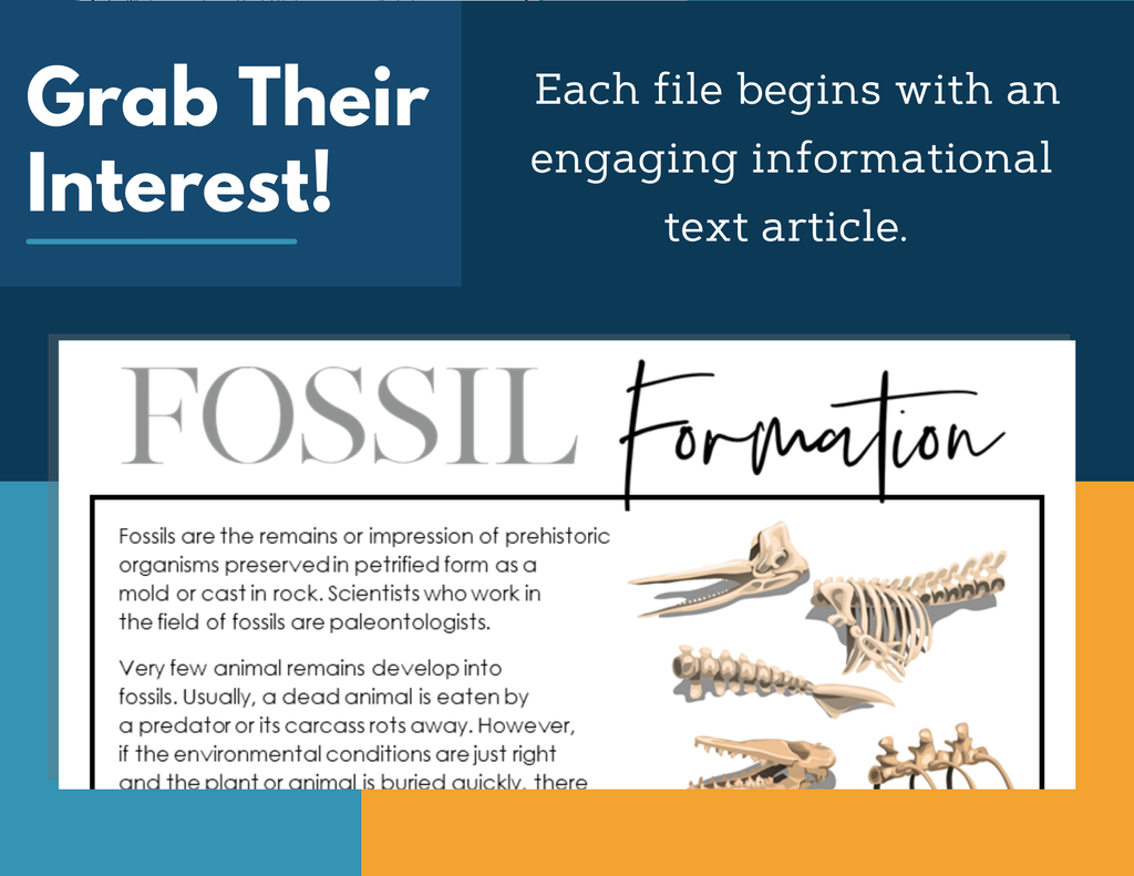 MS 6th 7th 8th Science Reading Comprehension Passages - Fossil Formation