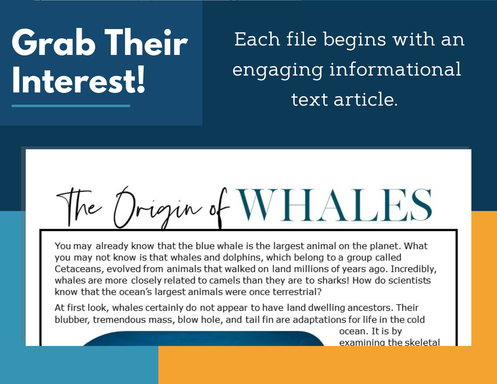 MS 6th 7th 8th Science Reading Comprehension Passages - VOL. 3 - Origin of Whales