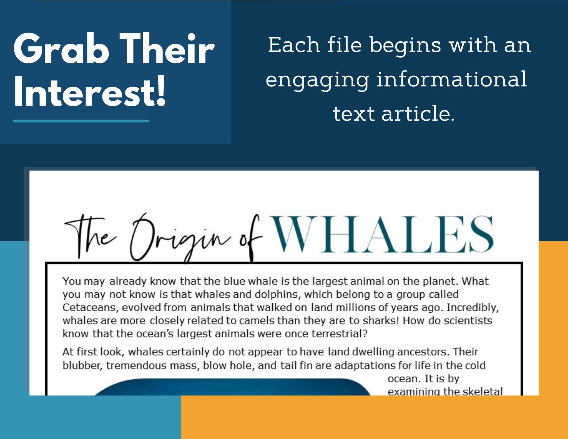 MS 6th 7th 8th Science Reading Comprehension Passages - VOL. 3 - Origin of Whales