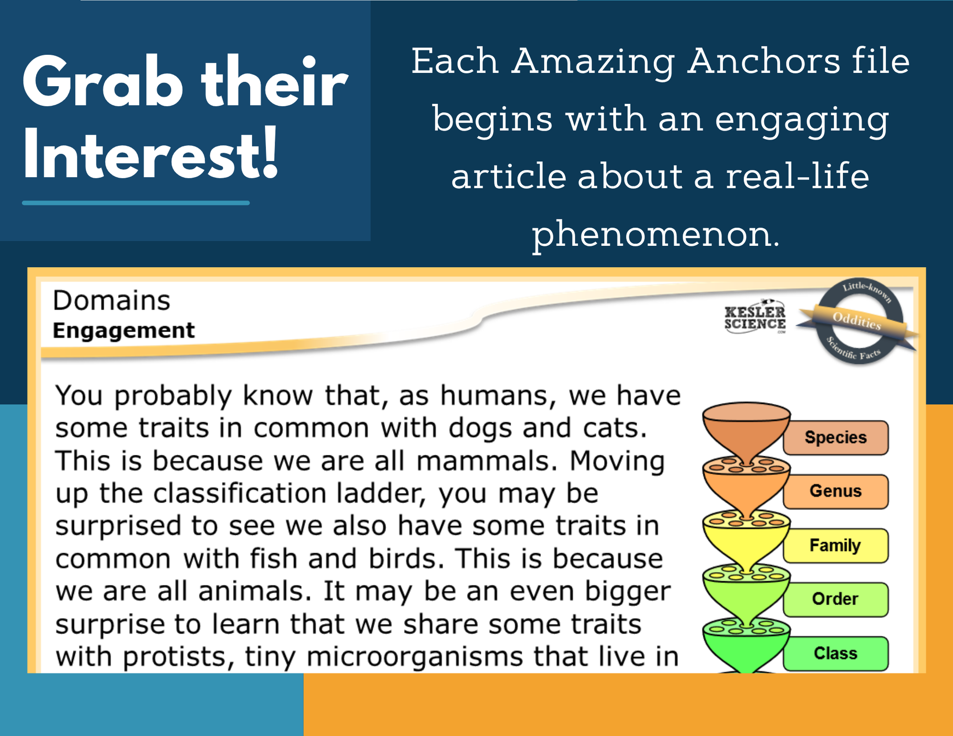 Amazing Anchors Classification of Living Things (Domains) - MS 6-8