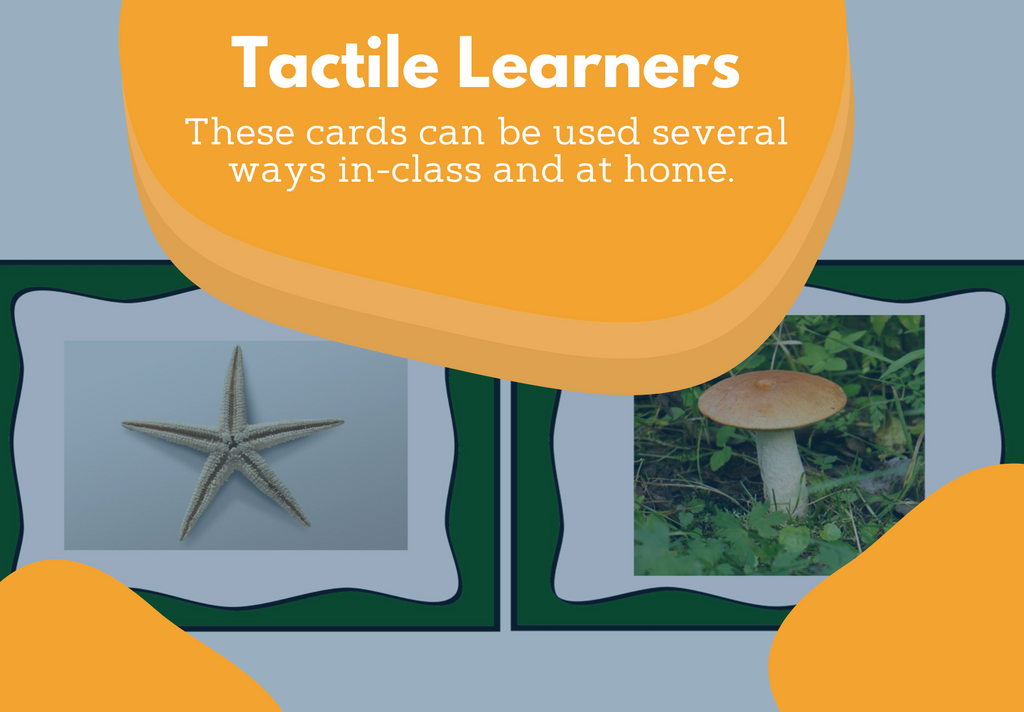 Basic Characteristics of Organisms Card Sort Activity