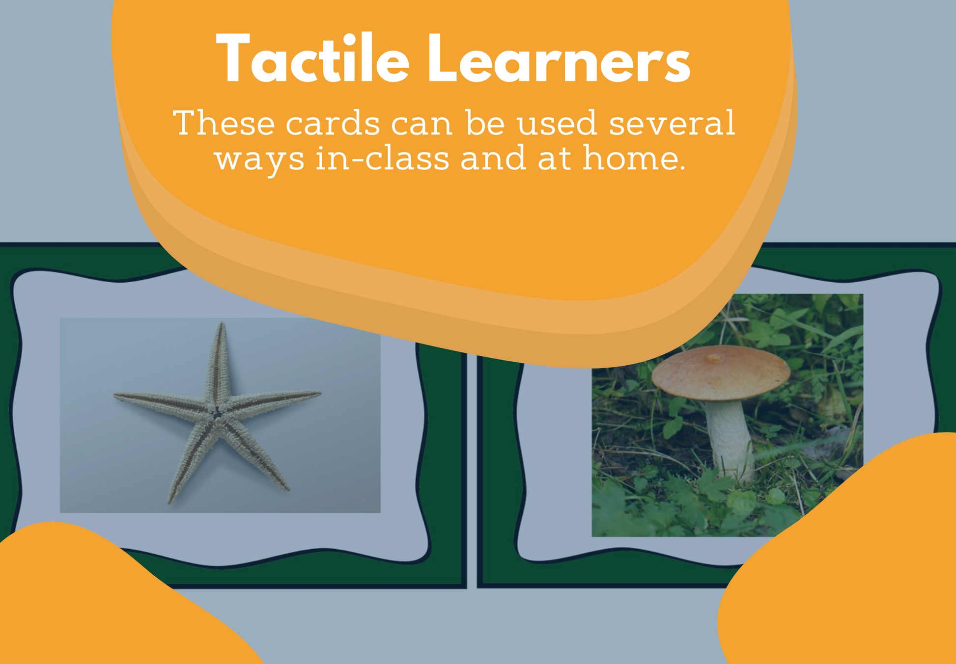 Basic Characteristics of Organisms Card Sort Activity