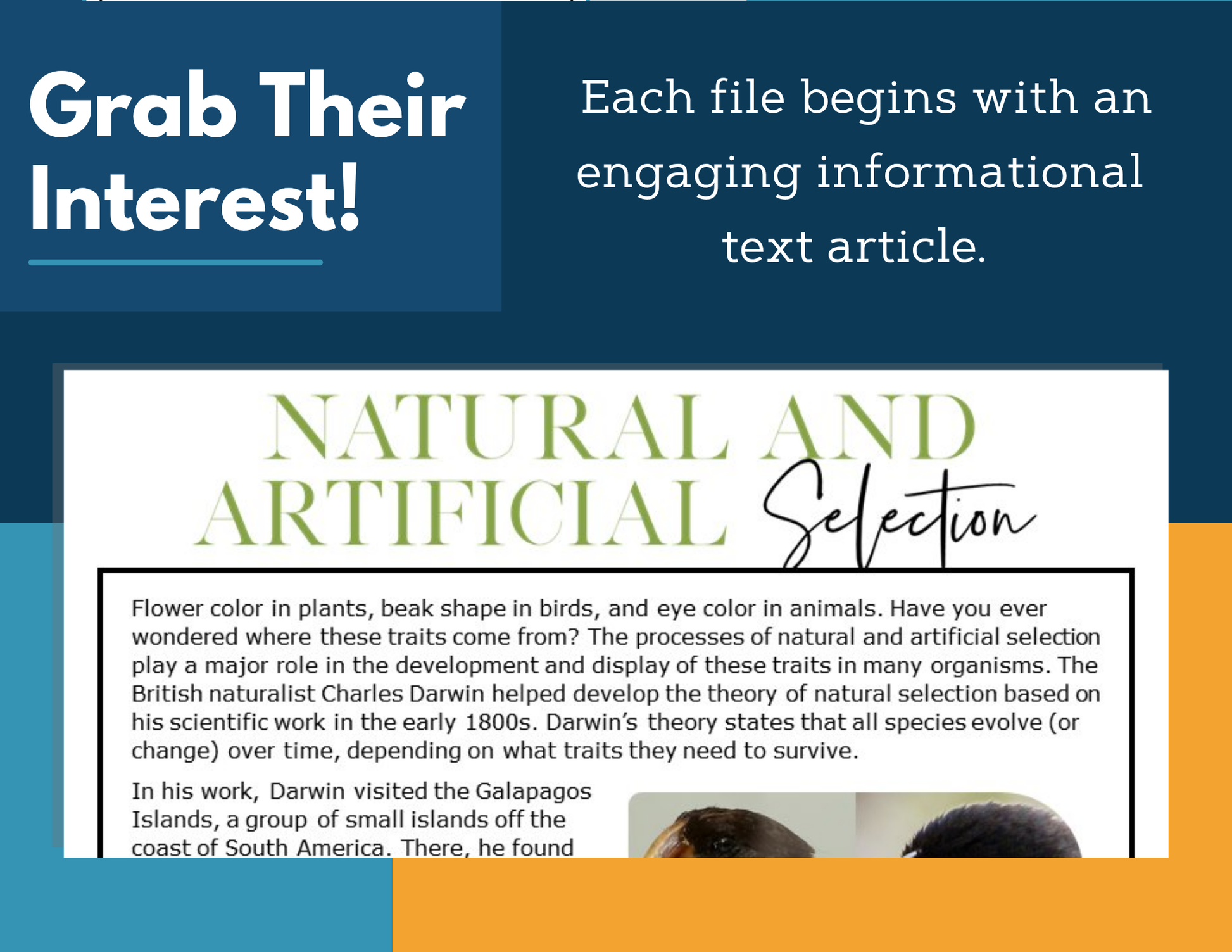 MS 6th 7th 8th Science Reading Comprehension Passages - VOL. 3 - Natural & Artificial Selection