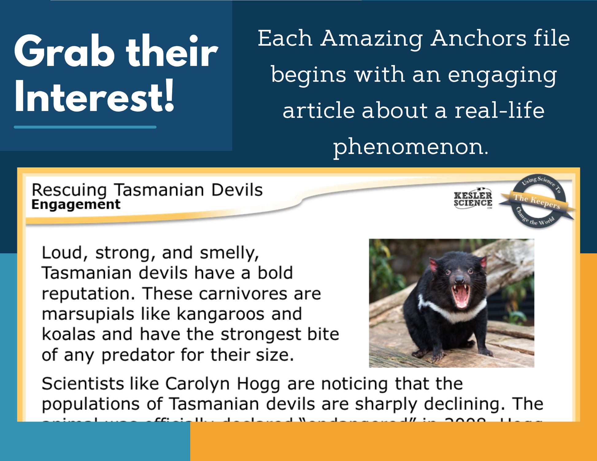 Amazing Anchors Genetic Variation for Survival (Rescuing Tasmanian Devils) - NGSS MS LS4-4