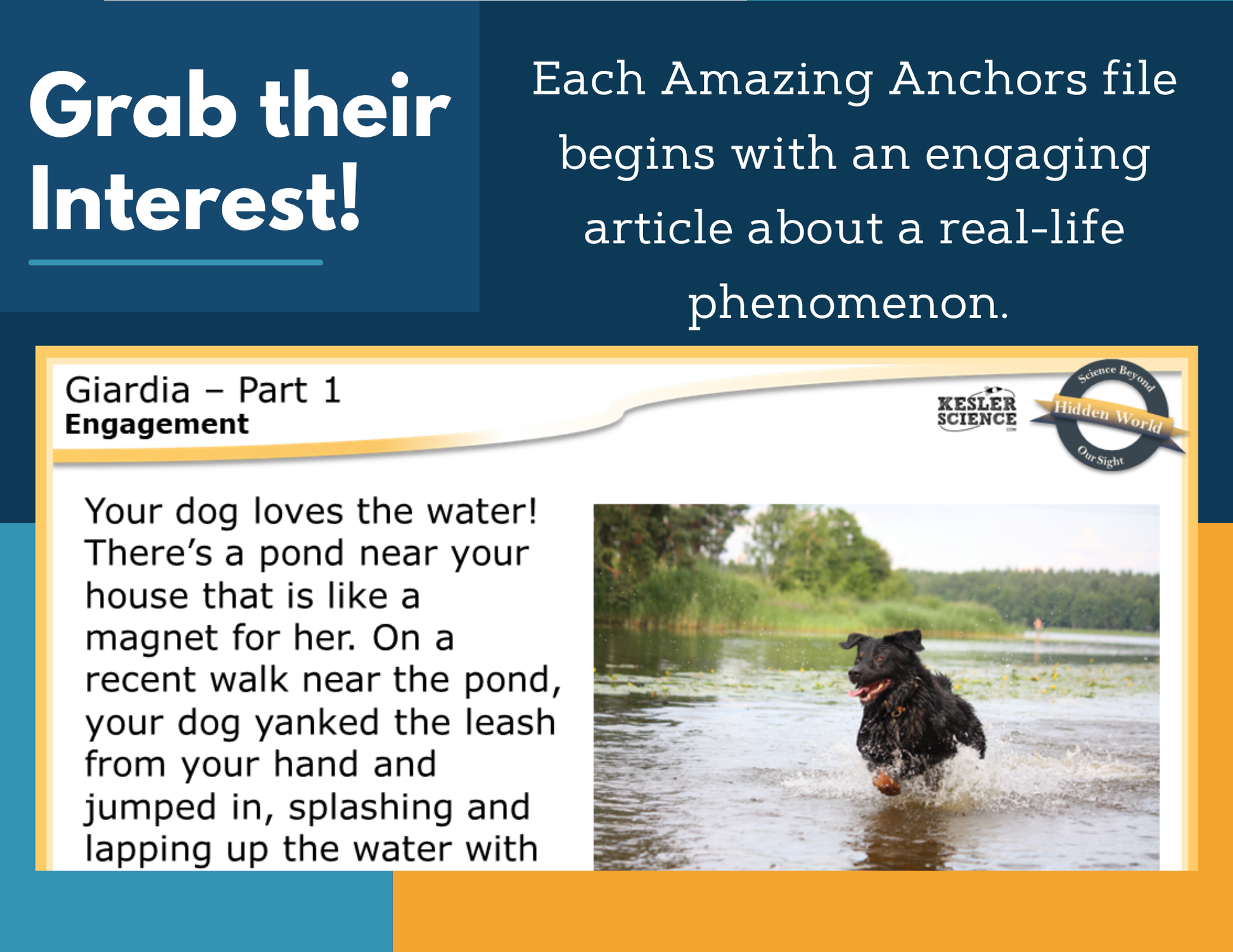 Amazing Anchors Cell Parts & Functions (Giardia Single-Celled Organisms) - NGSS MS LS1-2