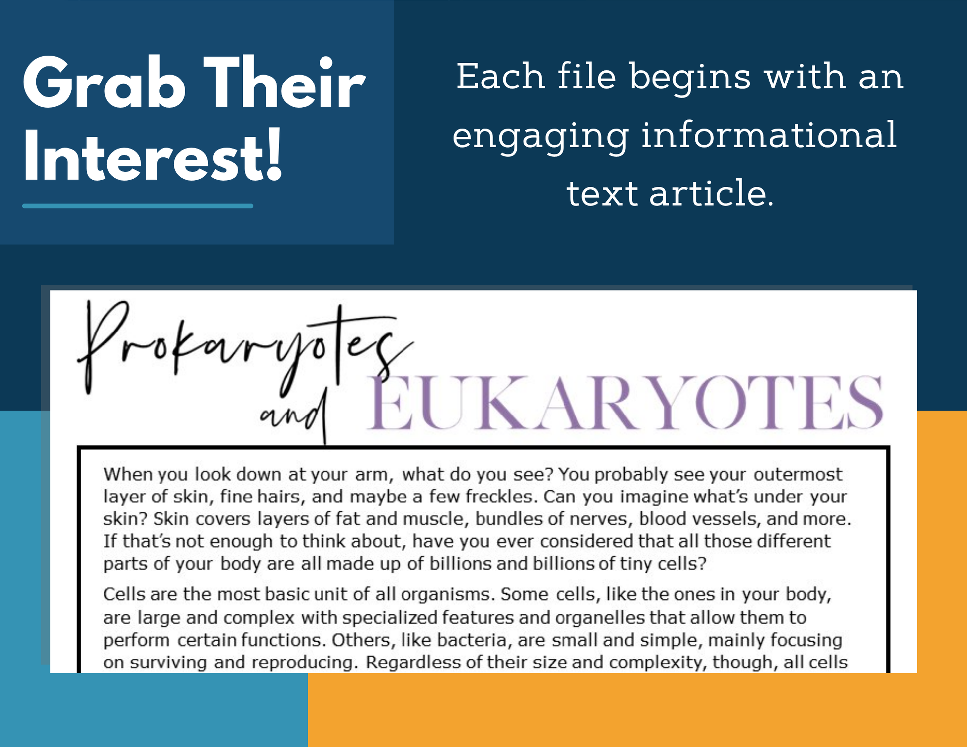 MS 6th 7th 8th Science Reading Comprehension Passages - VOL. 3 - Prokaryotes and Eukaryotes