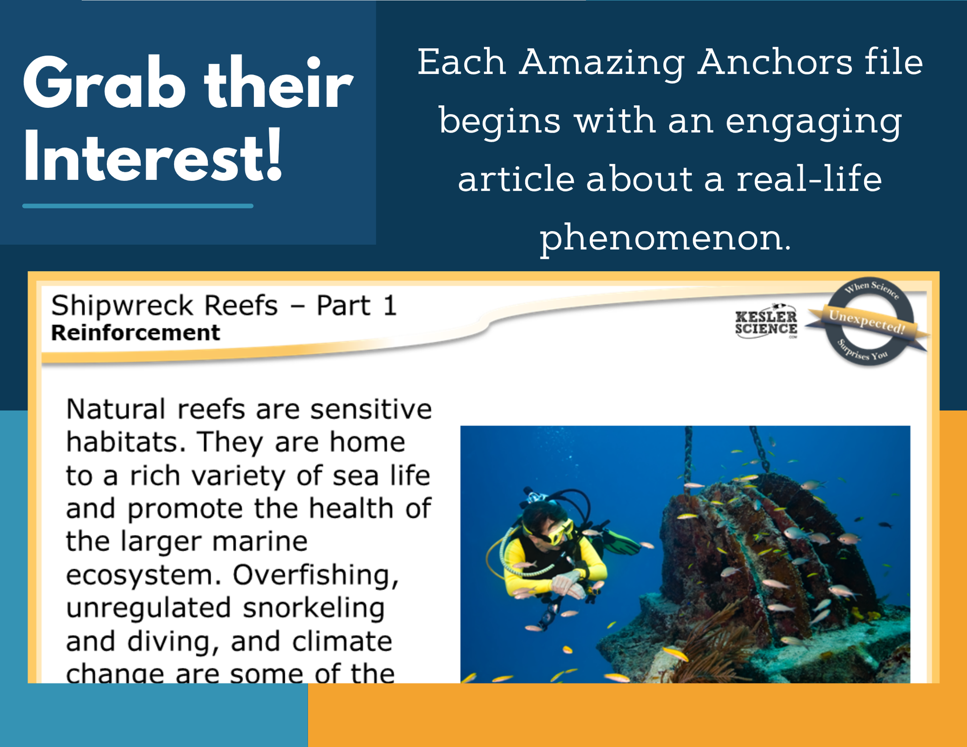 Amazing Anchors Ocean Ecosystems (Shipwreck Reefs) - MS 6-8