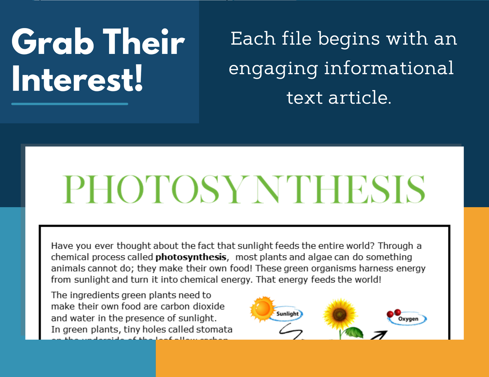 MS 6th 7th 8th Science Reading Comprehension Passages - VOL. 4 - Photosynthesis