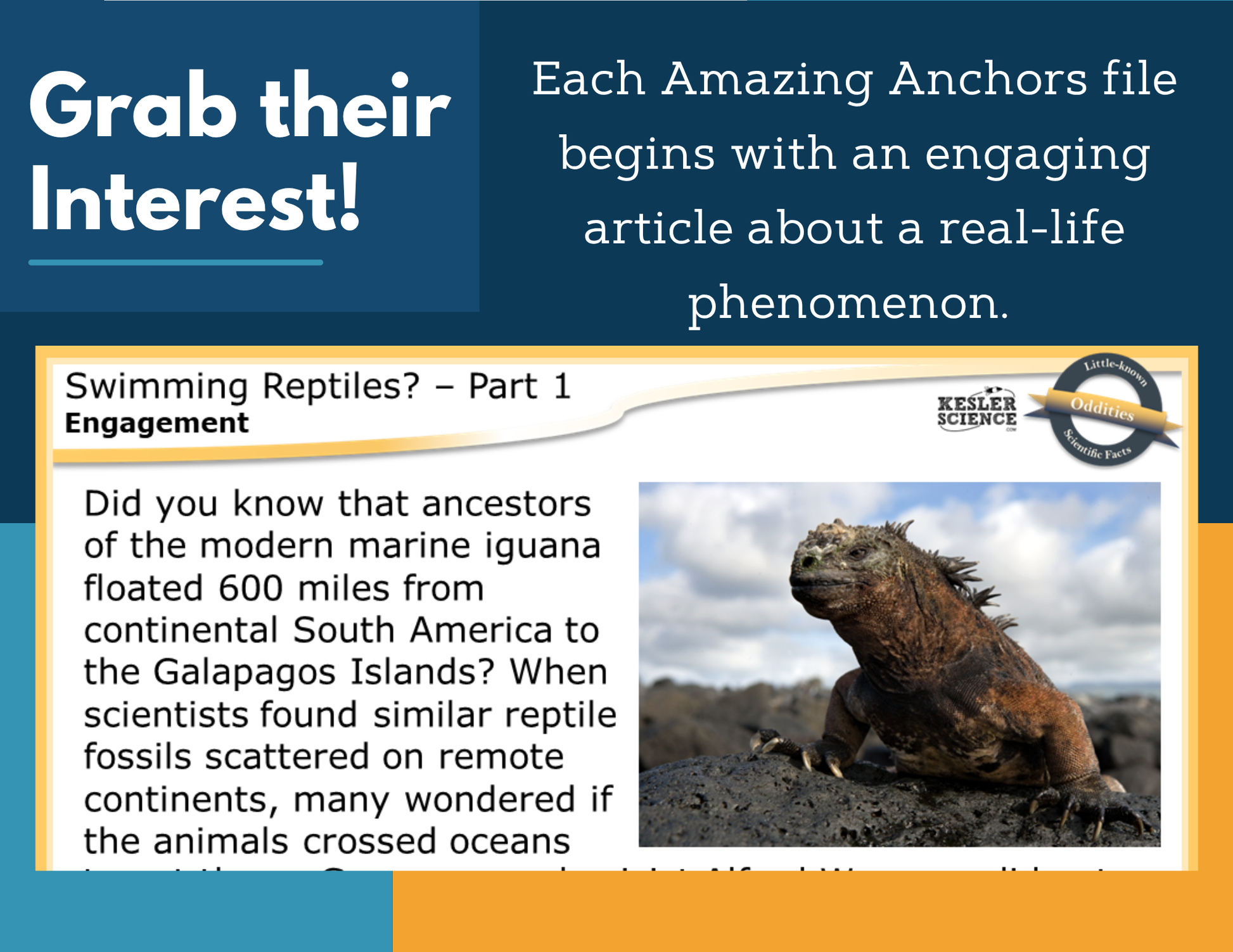 Amazing Anchors Continental Drift Theory (Swimming Reptiles) - MS 6-8