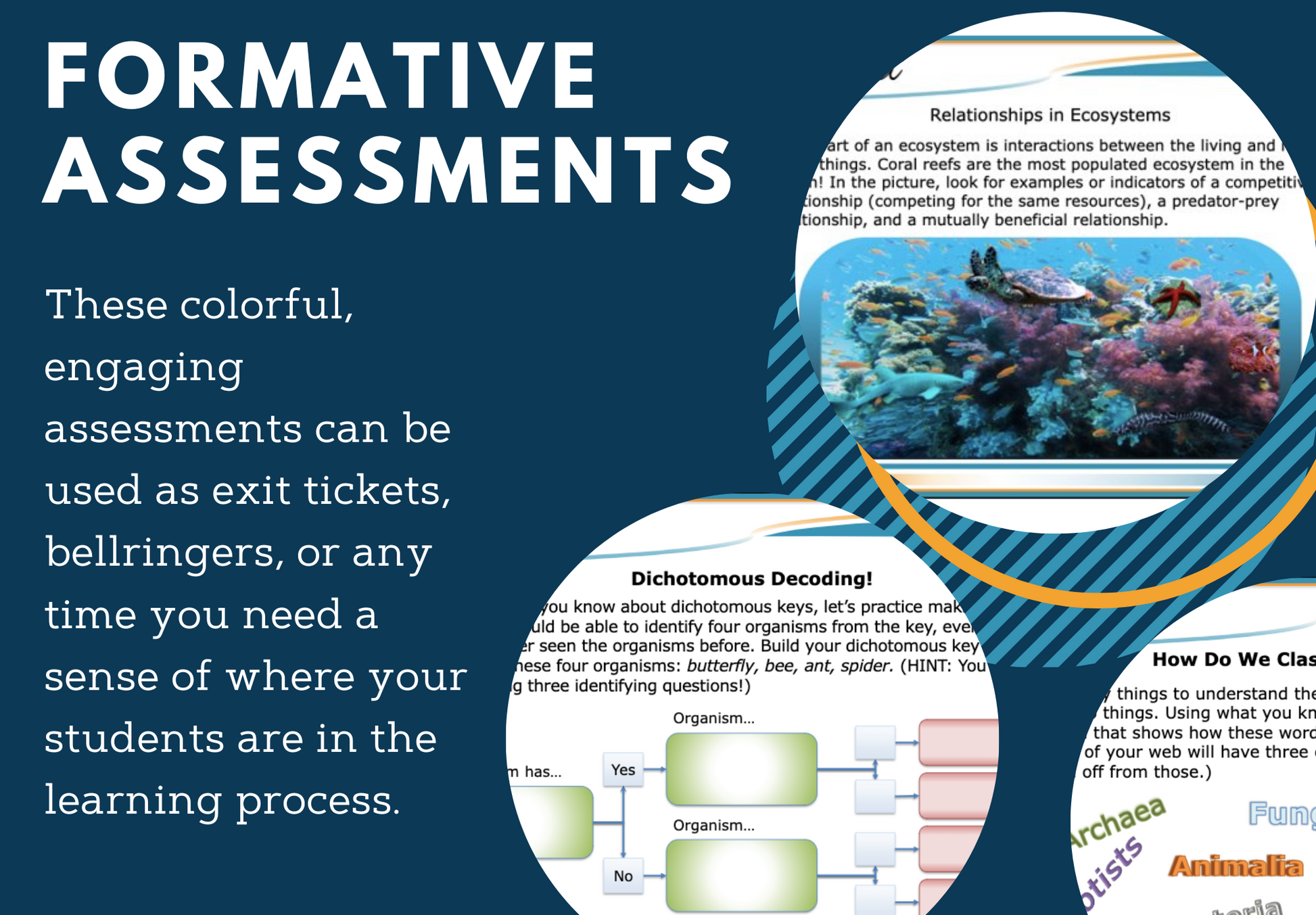 MS Ecosystems Set - Exit Tickets