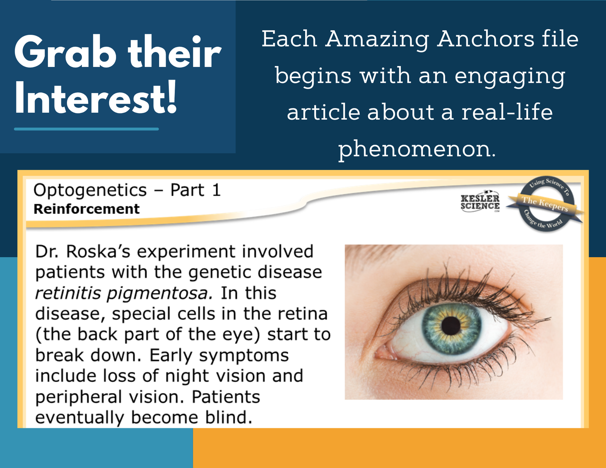 Amazing Anchors Inheritance of Desired Traits (Optogenetics) - NGSS MS LS4-5
