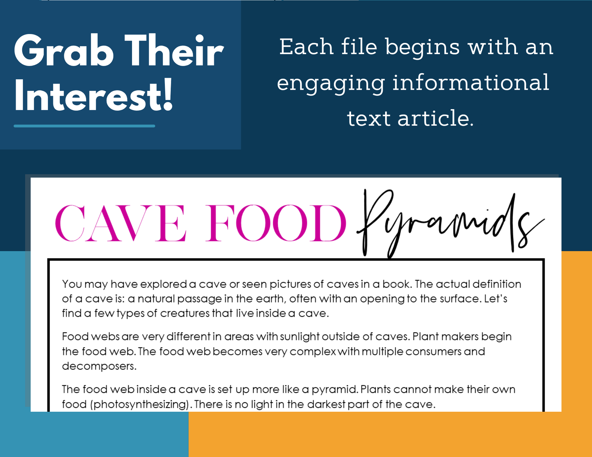 MS 6th 7th 8th Science Reading Comprehension Passages - Cave Food Pyramids
