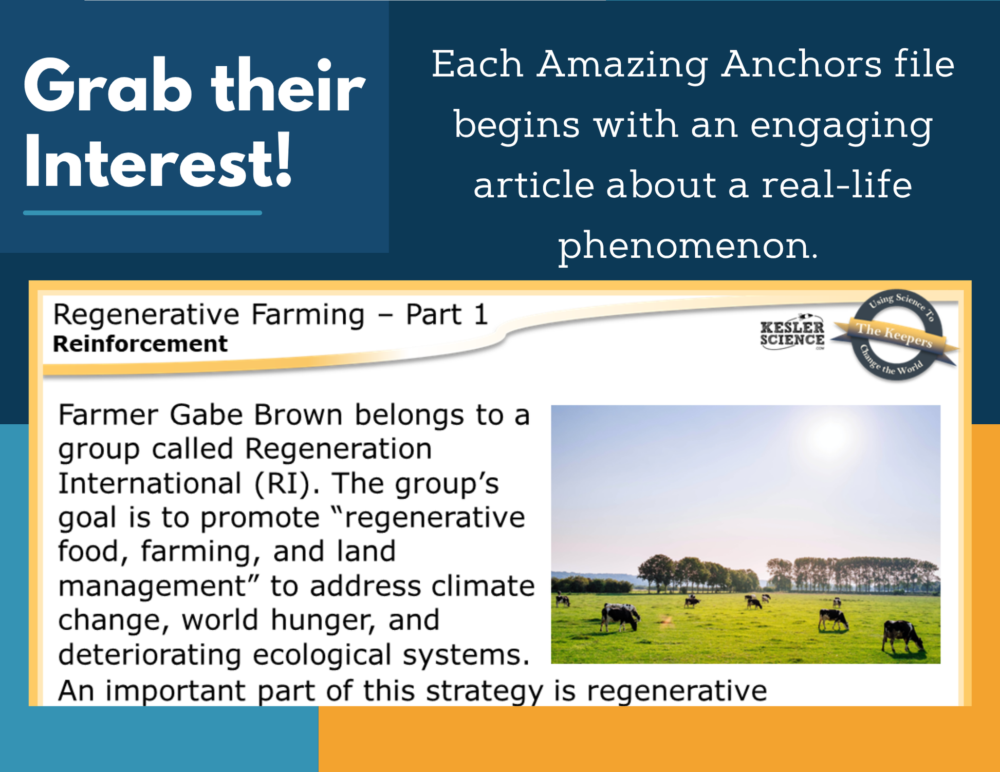 Amazing Anchors Resource Availability (Regenerative Farming) - NGSS MS LS2-1