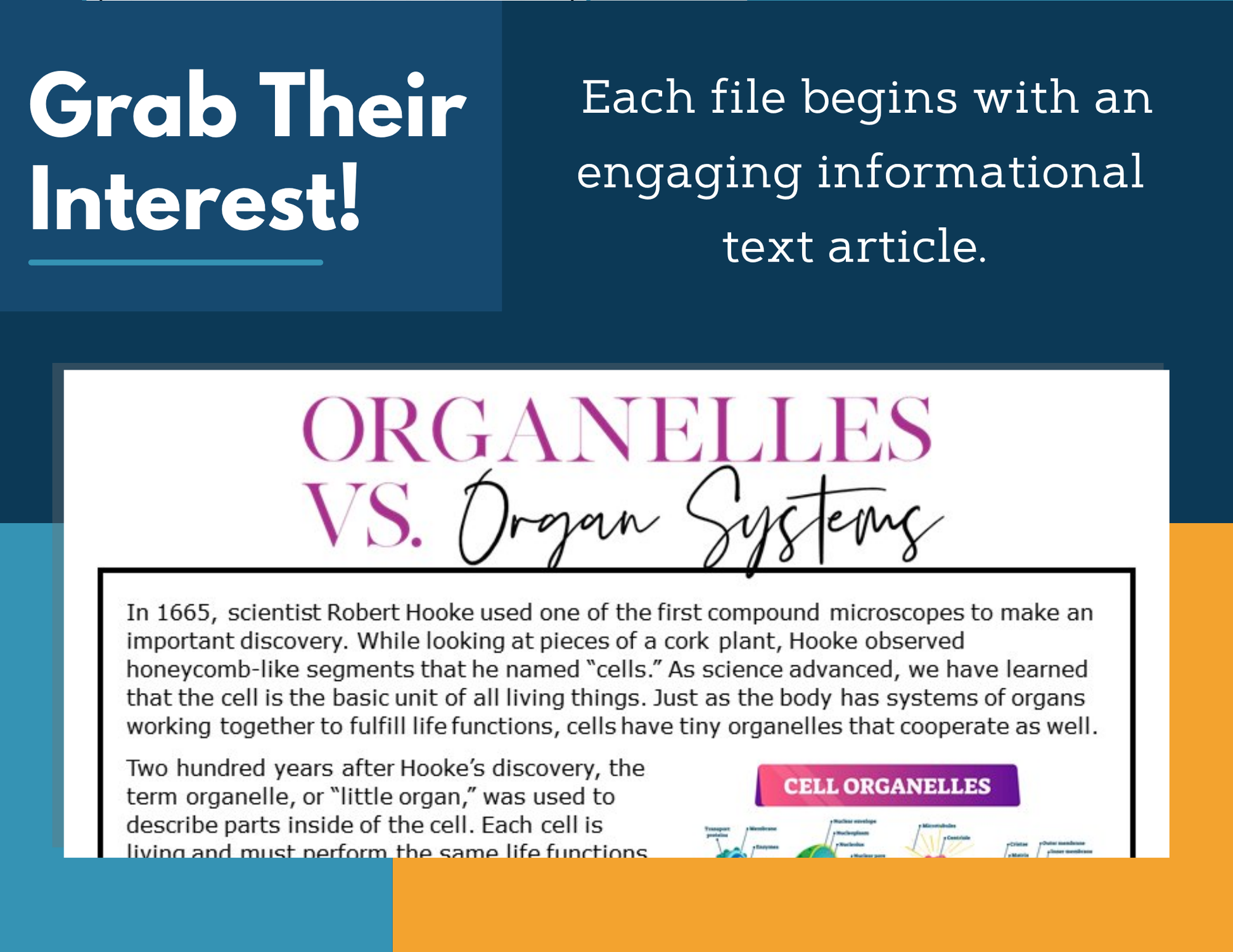 MS 6th 7th 8th Science Reading Comprehension Passages - VOL. 3 - Organelles vs Organ Systems