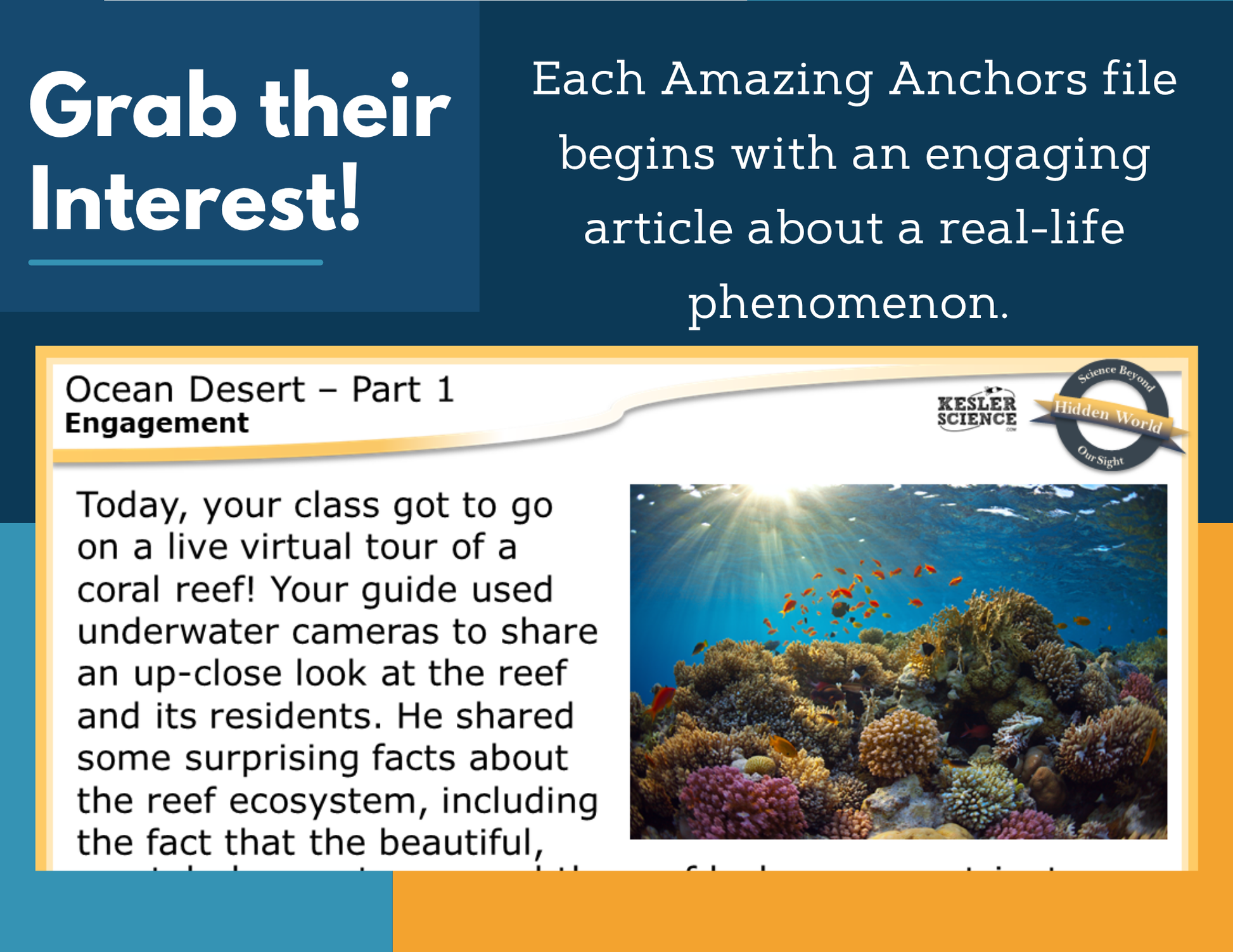 Amazing Anchors Role of Photosynthesis (Ocean Desert) - NGSS MS LS1-6