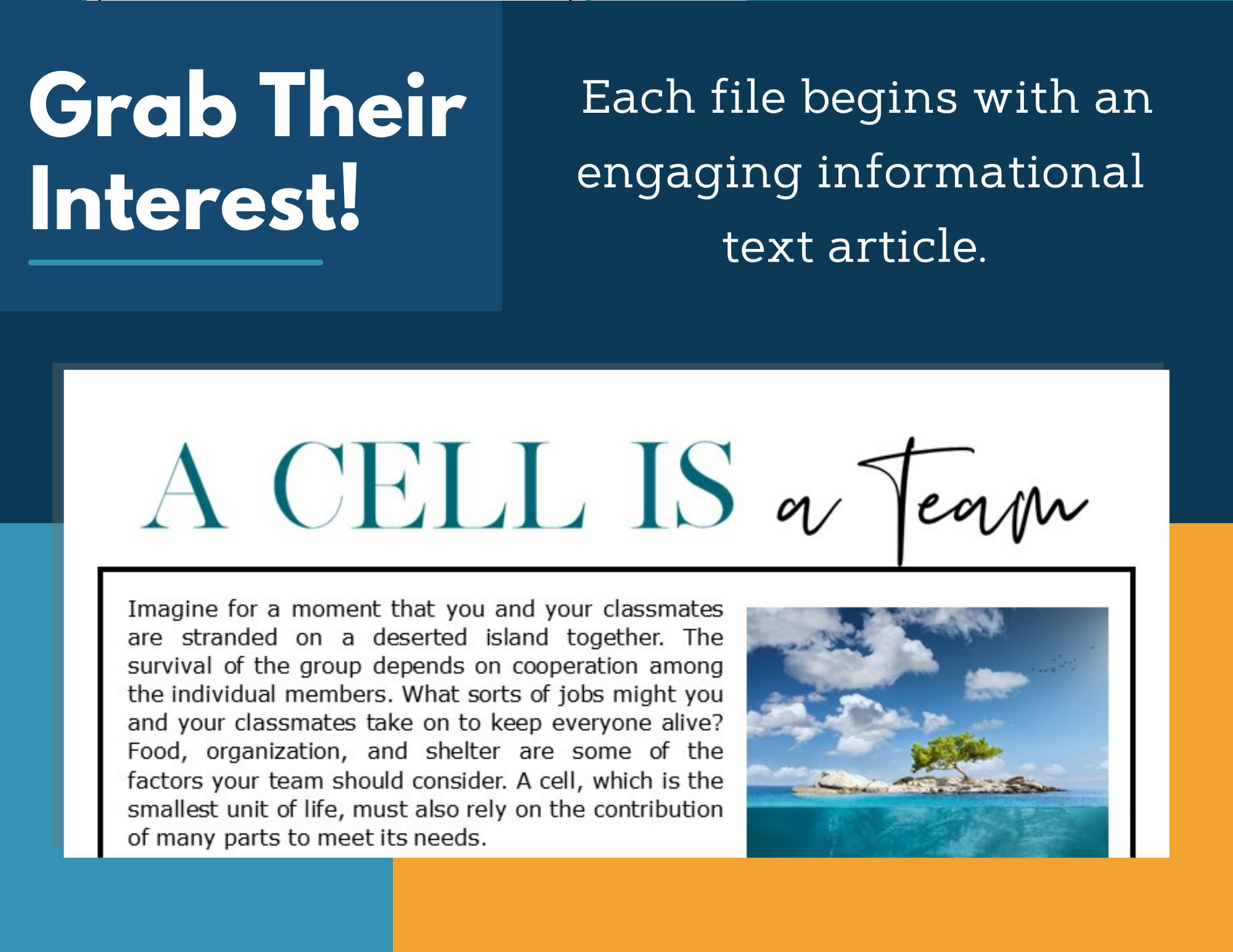 MS 6th 7th 8th Science Reading Comprehension Passages - VOL. 3 - A Cell is a Team