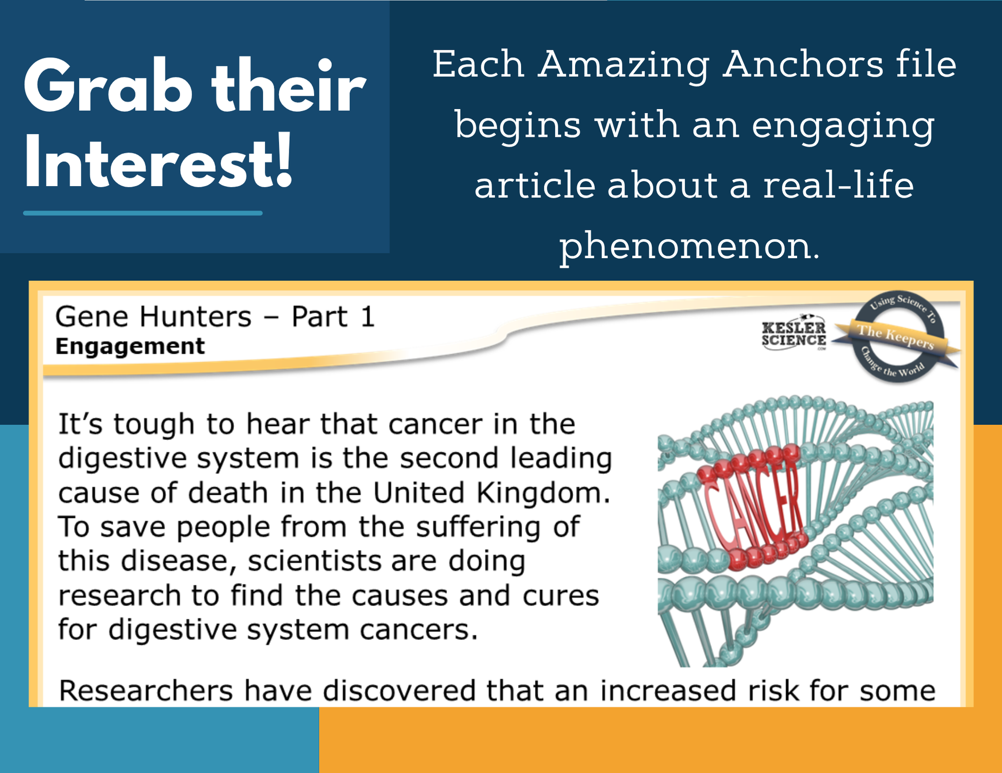 Amazing Anchors Mutations (Gene Hunters) - NGSS MS LS3-1