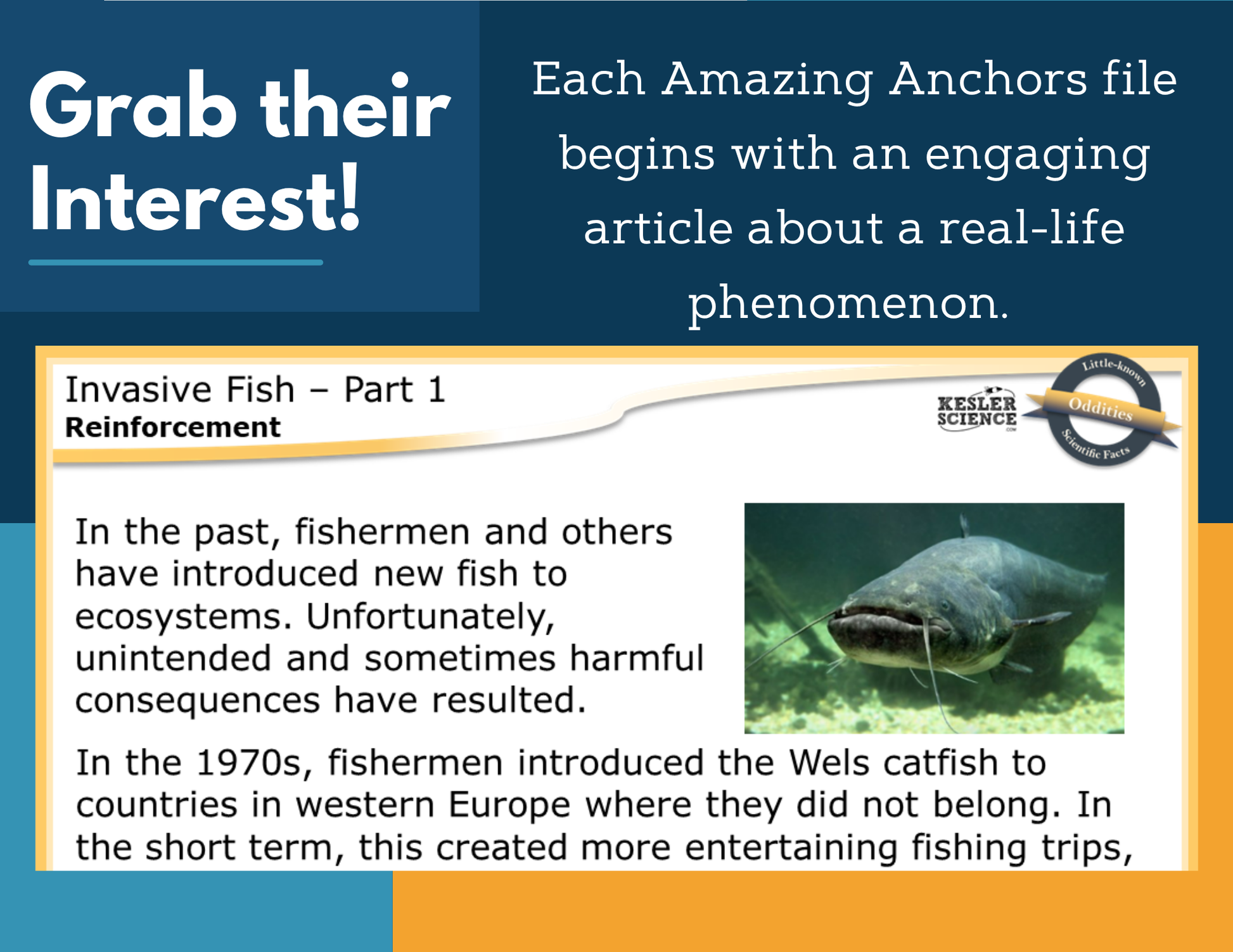Amazing Anchors Environmental Changes (Invasive Fish) - NGSS MS LS2-4, MS 6-8